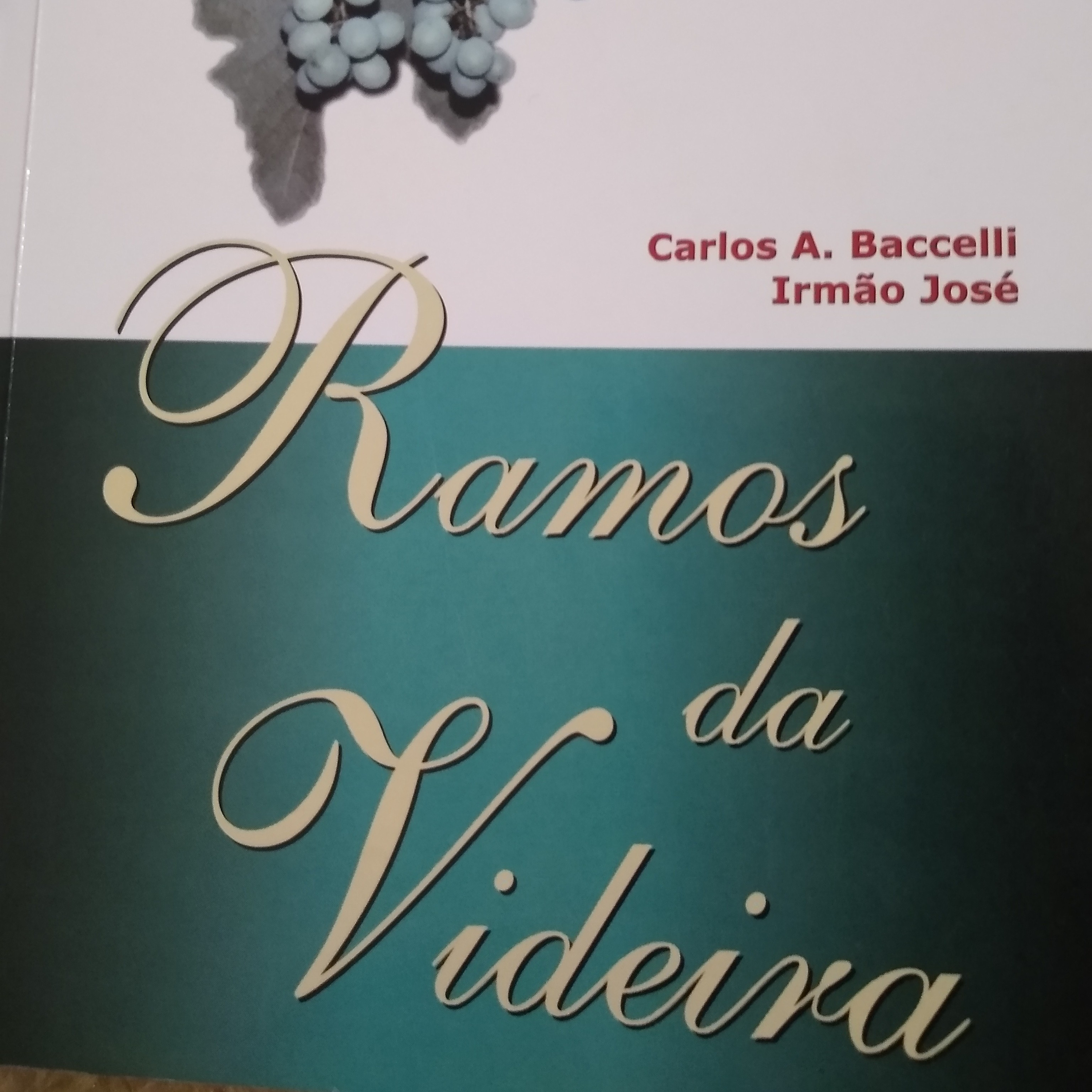 Leitura Livros