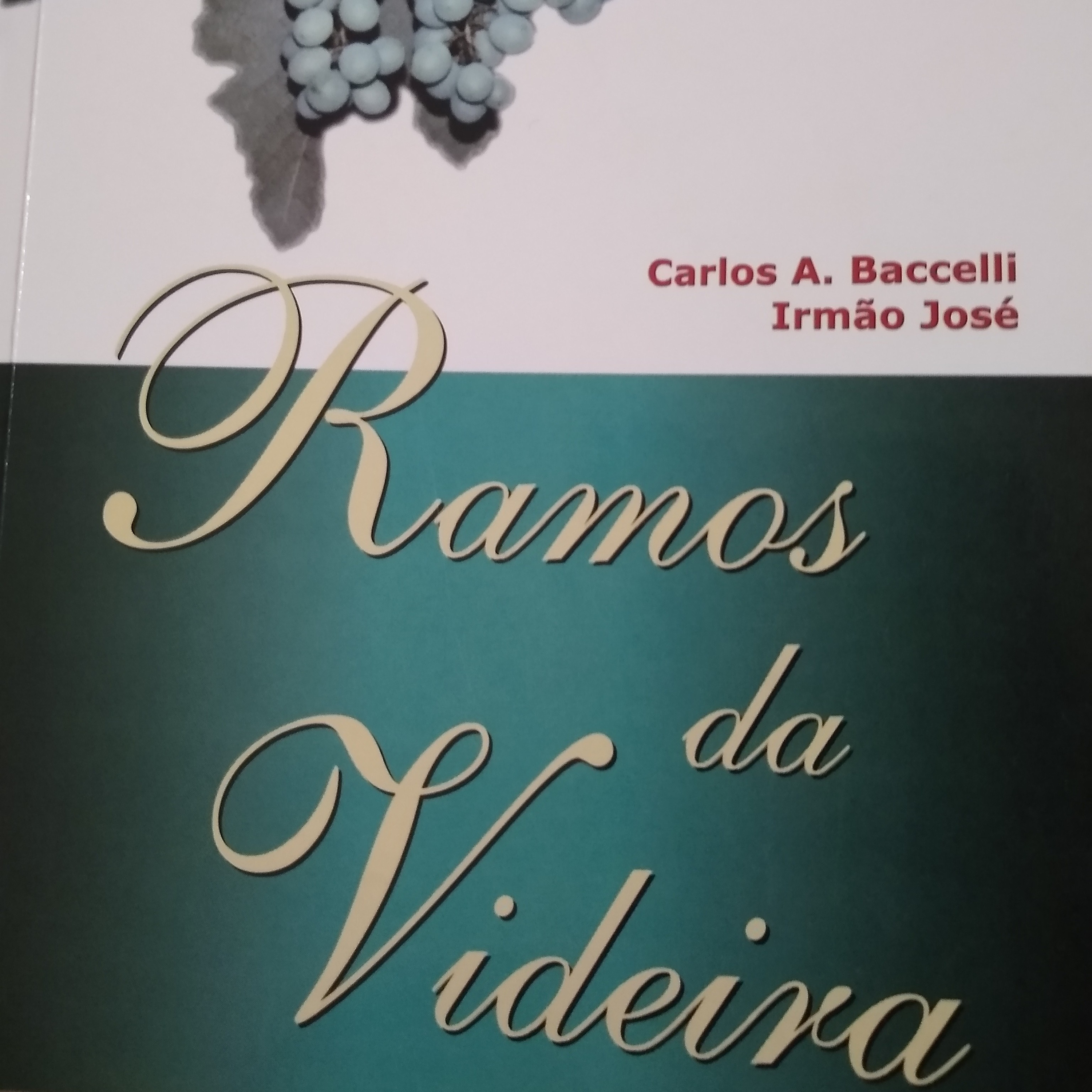 Leitura Livros