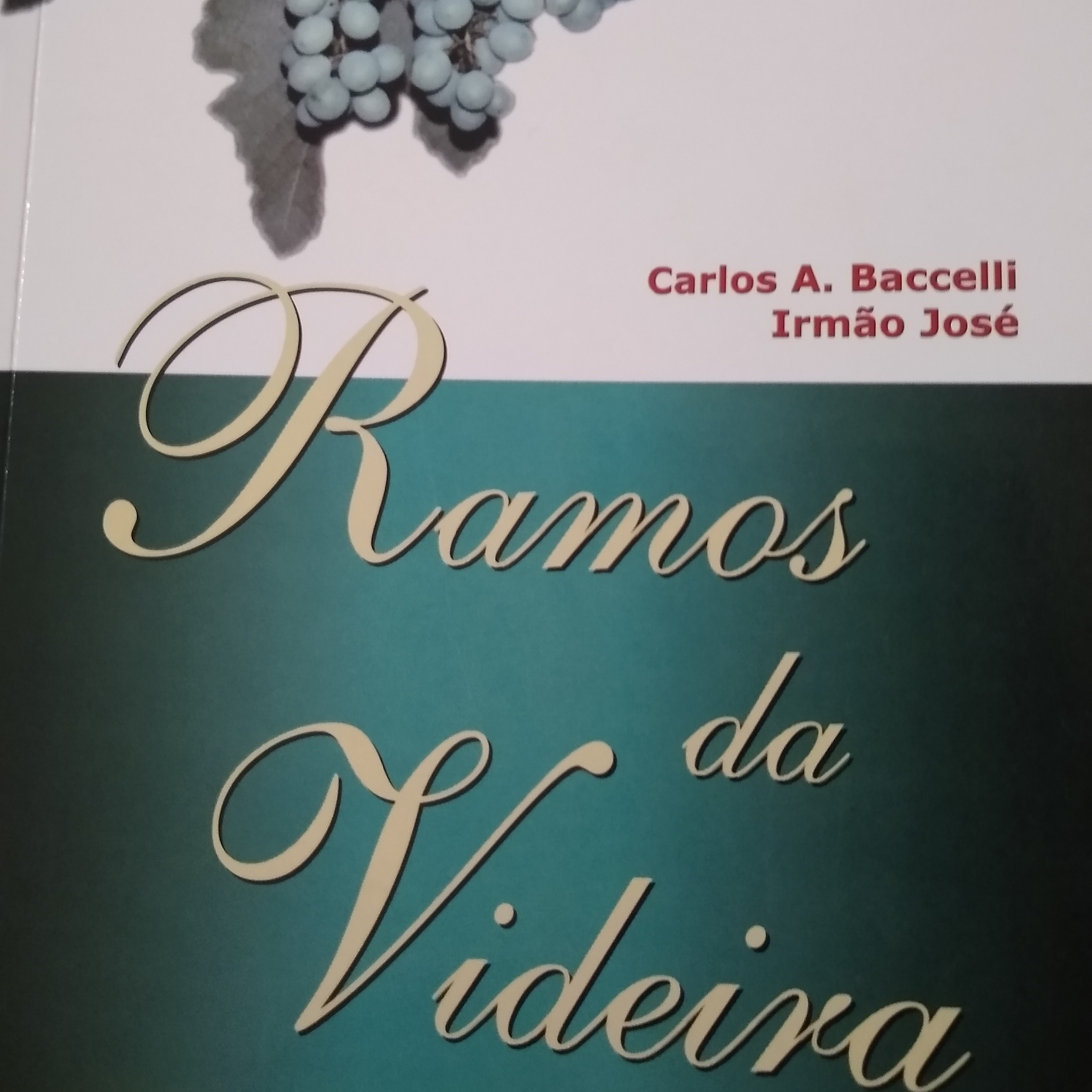Leitura Livros