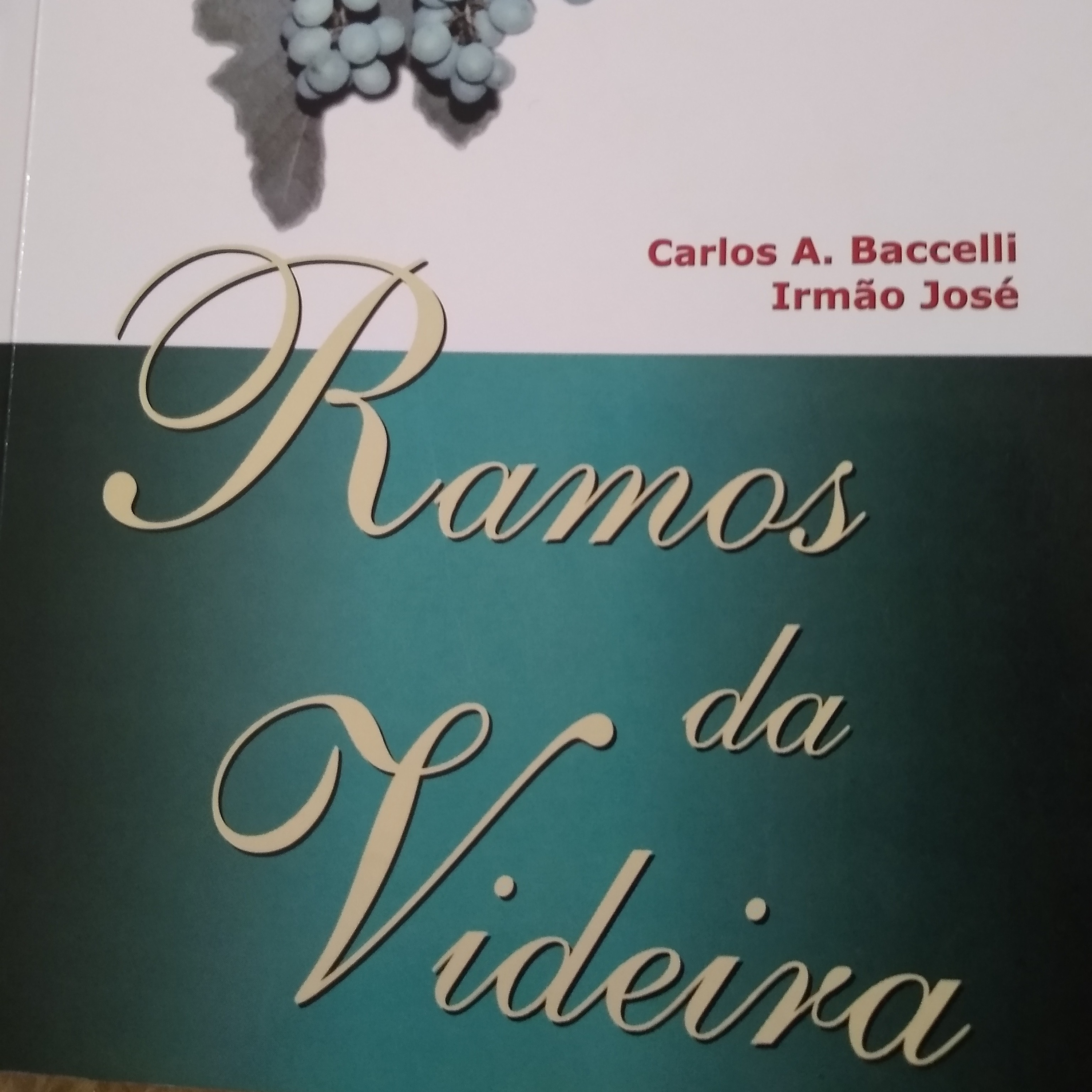 Leitura Livros