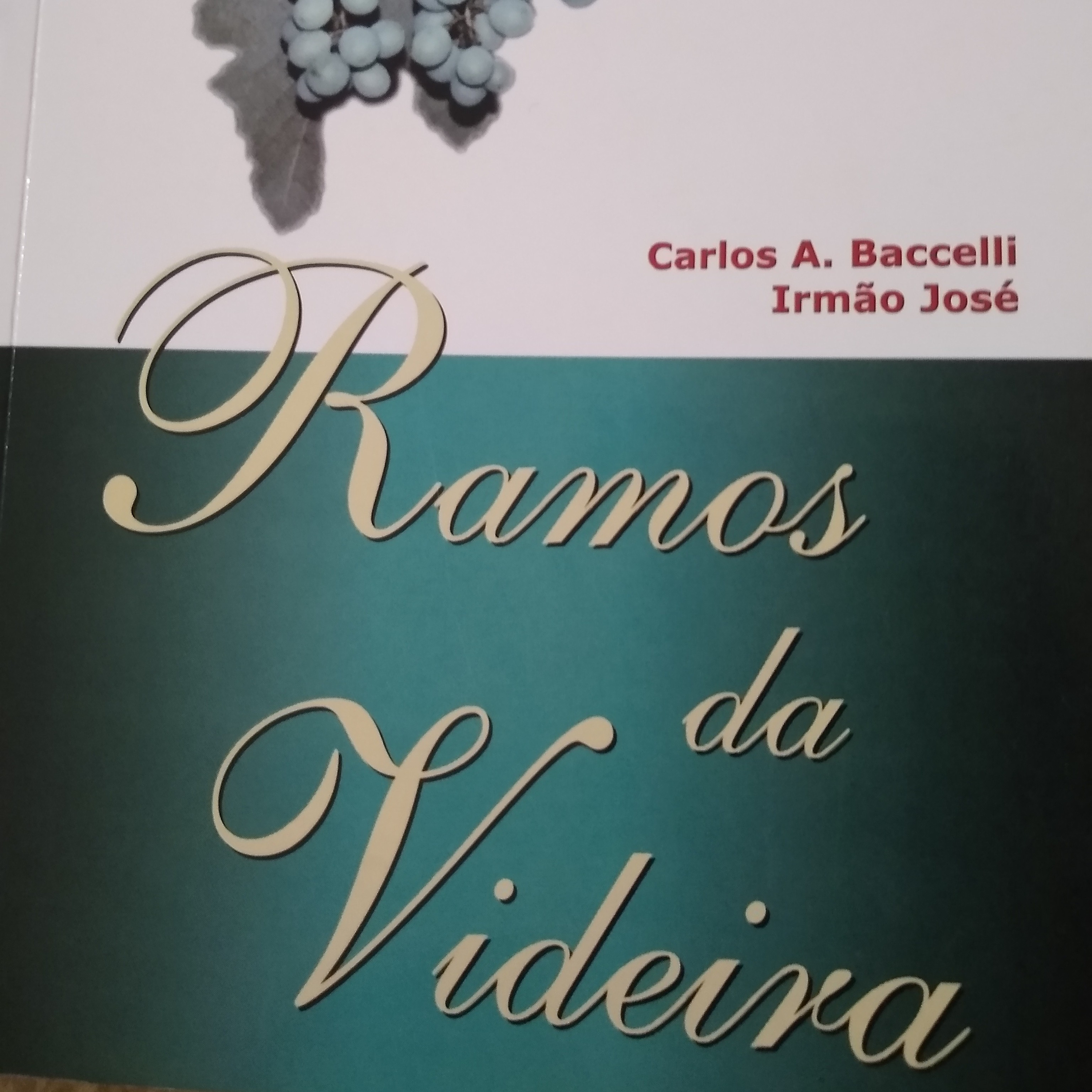 Leitura Livros