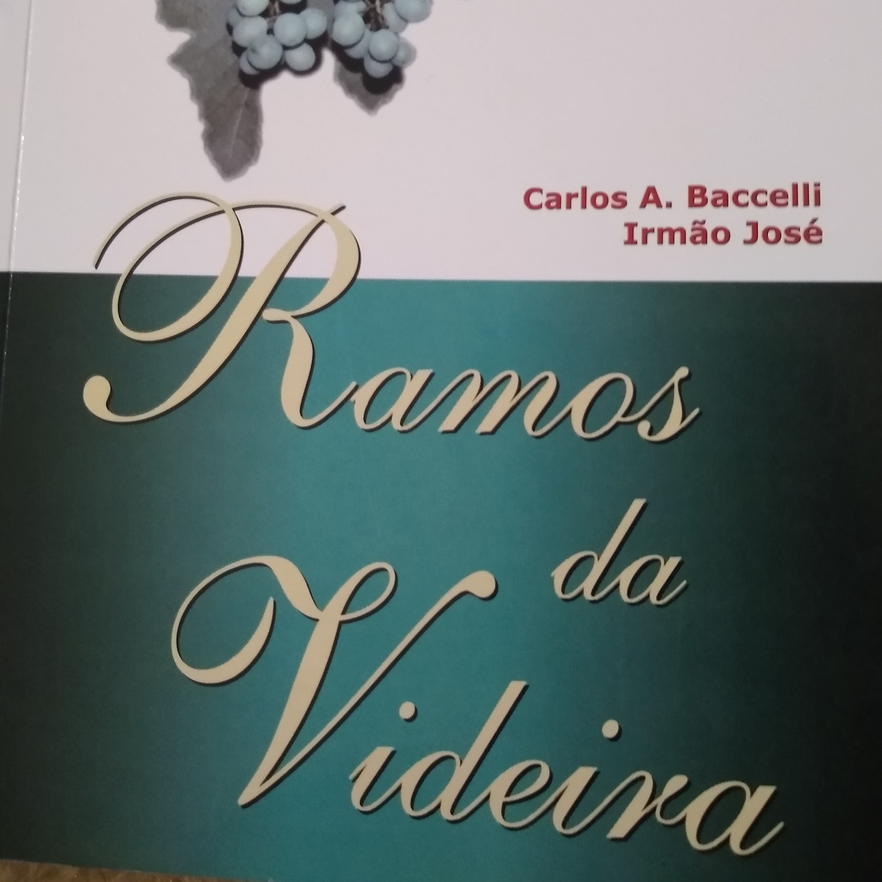 Leitura Livros