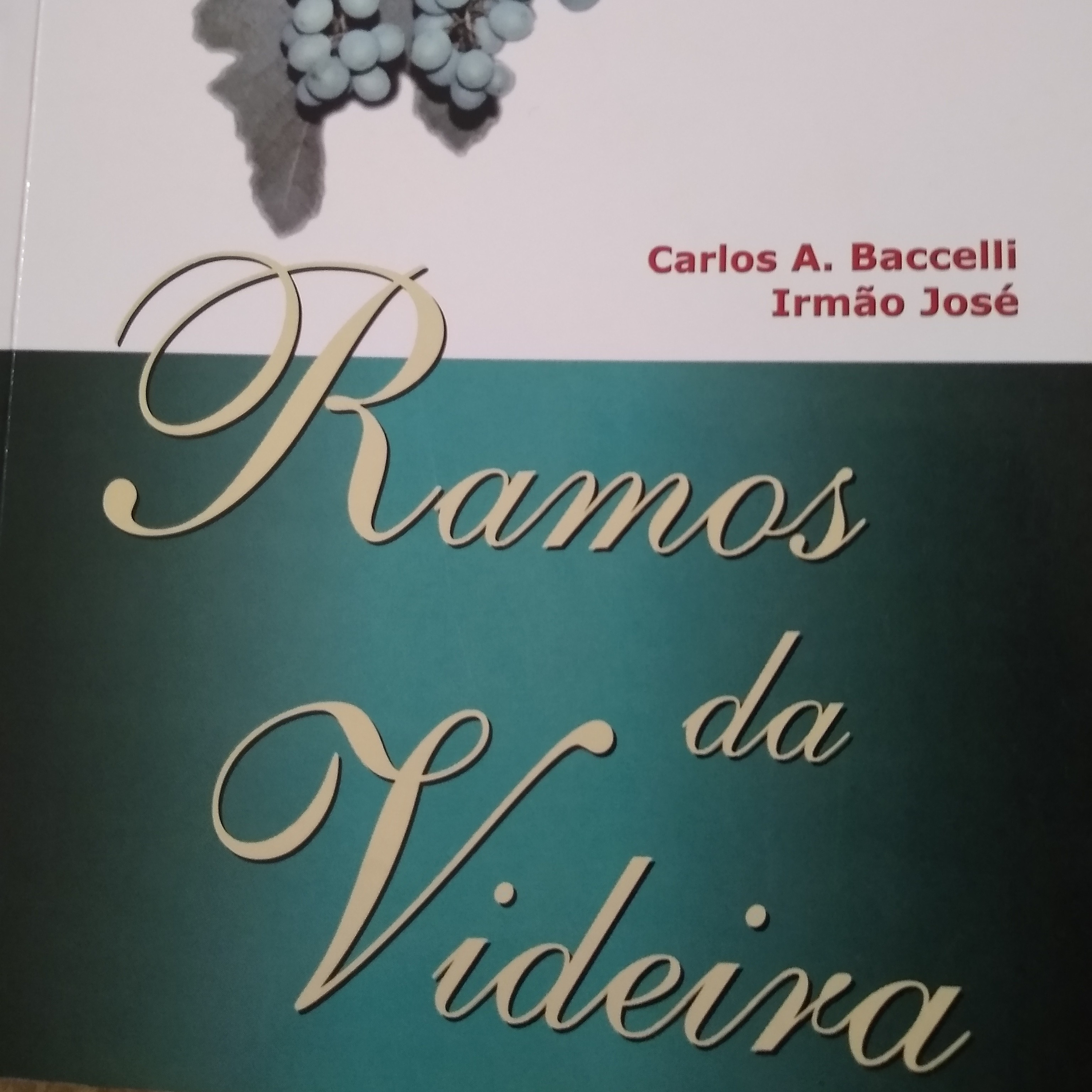 Leitura Livros