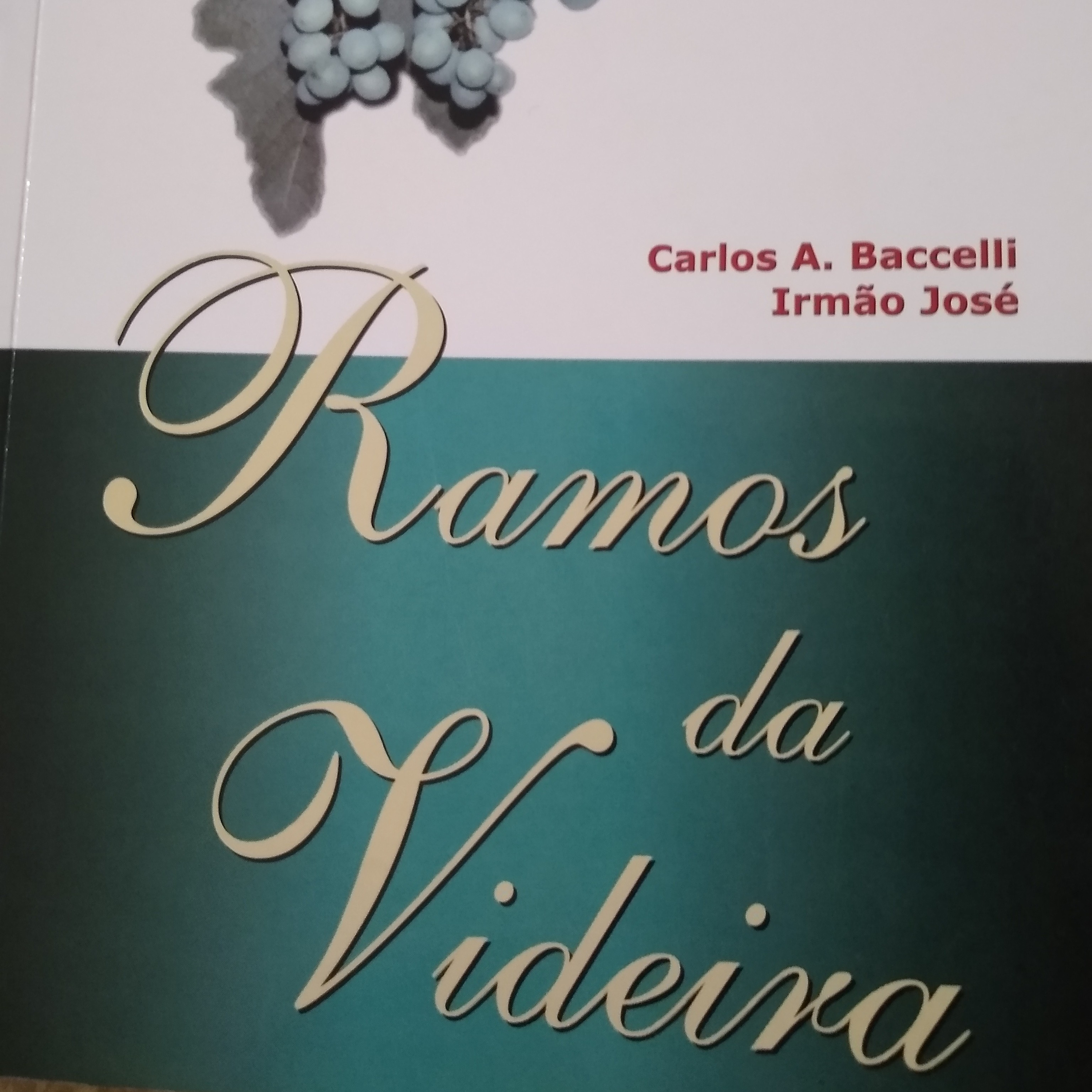 Leitura Livros