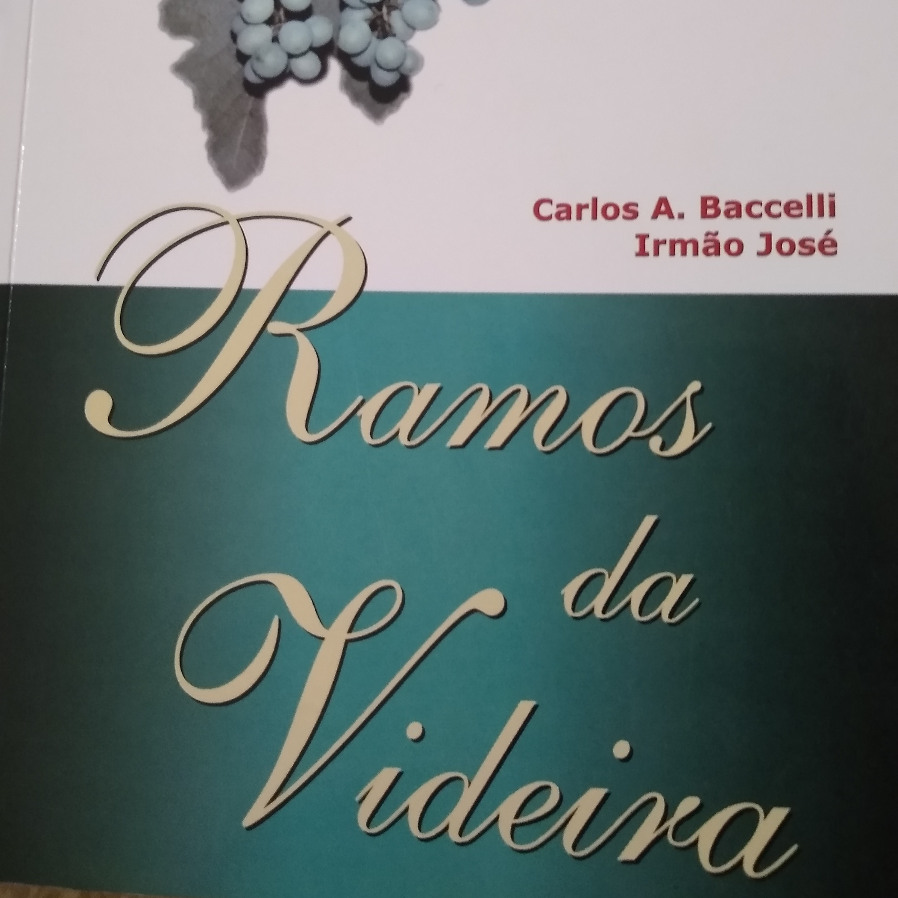 Leitura Livros
