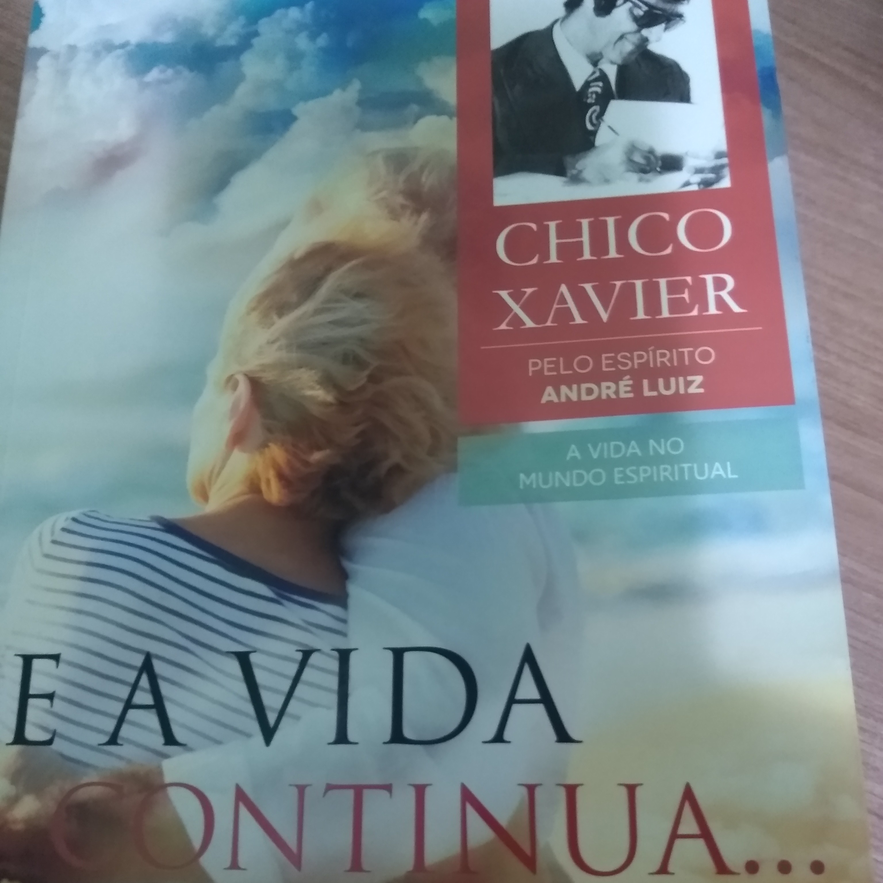 Cap 19 E a Vida Continua... Francisco Candido Xavier pelo espírito André Luiz  episode artwork