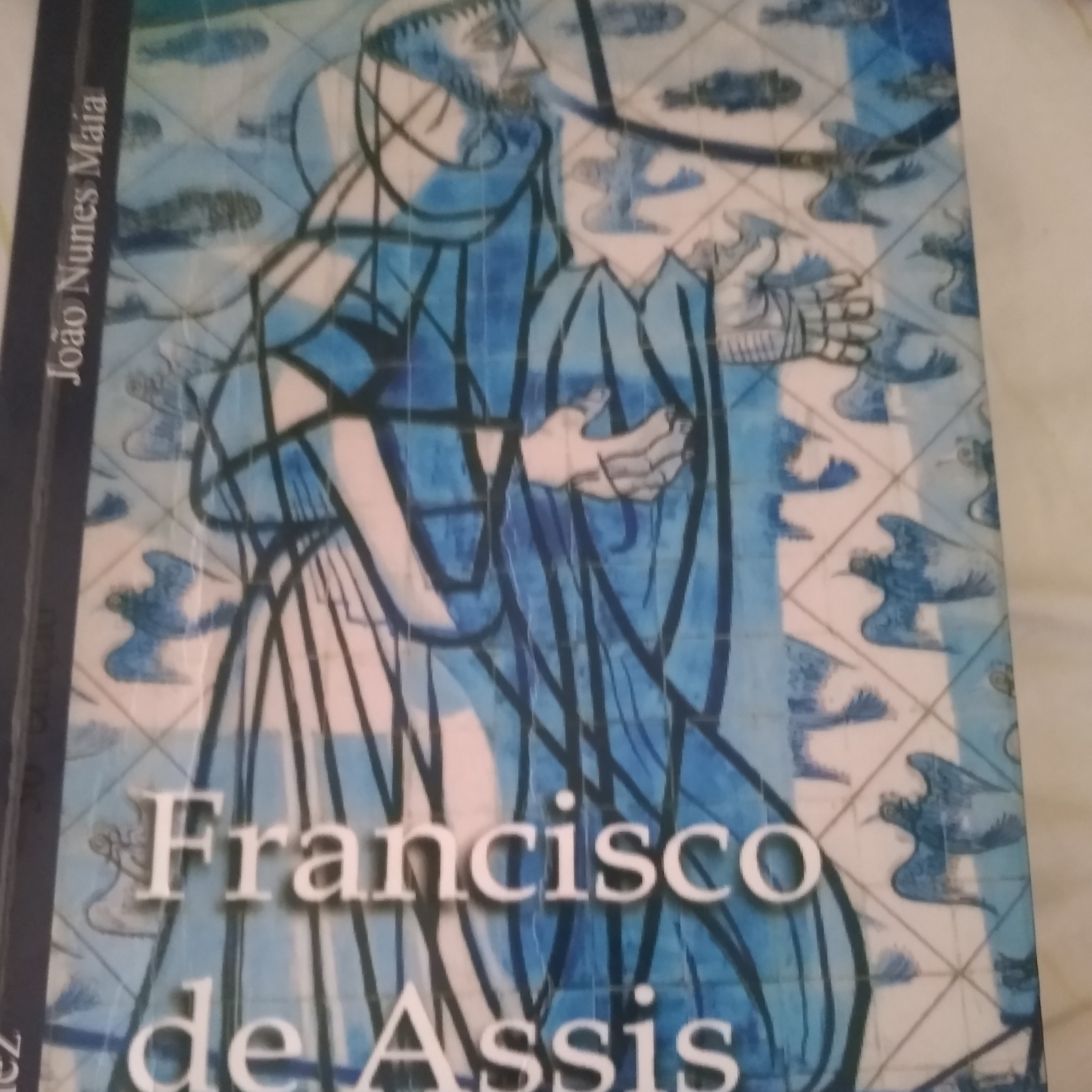 Cap 16 parte 2 Francisco de Assis.   João Nunes Maia pelo espírito Miramez  episode artwork