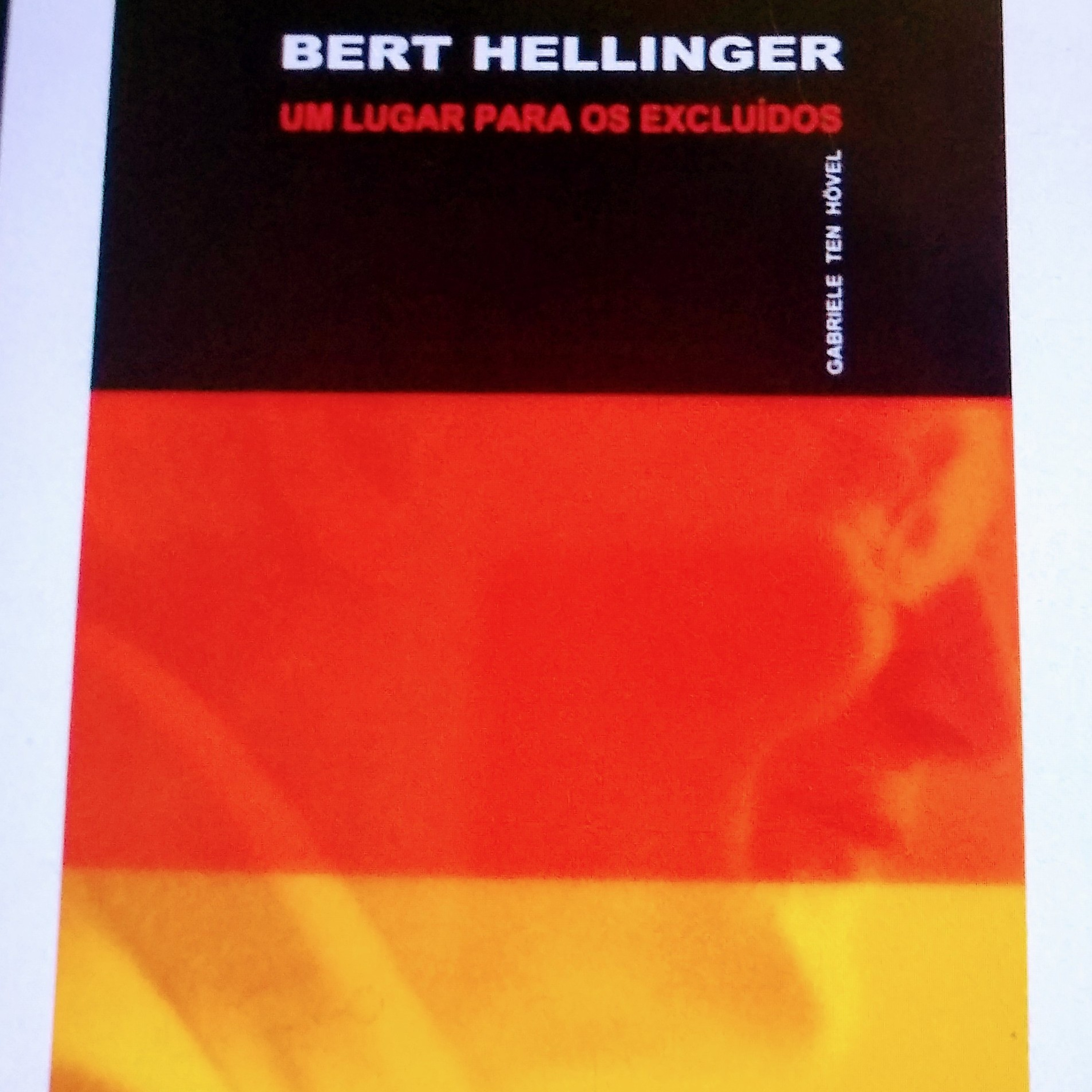 17 Sobre as exigências da reparação.Um lugar para os excluídos Bert Hellinger  episode artwork
