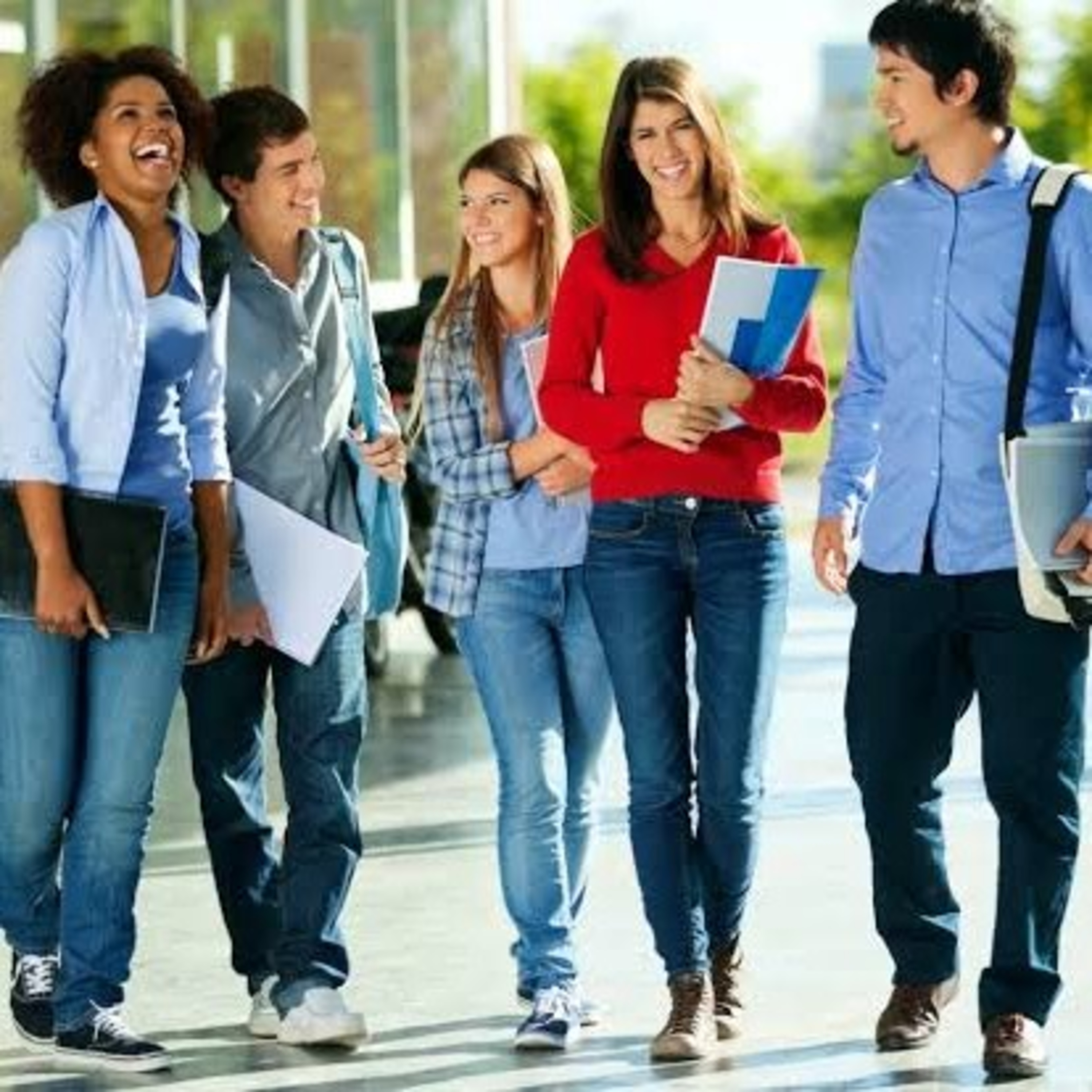 Guide to MS in US 4 episode artwork