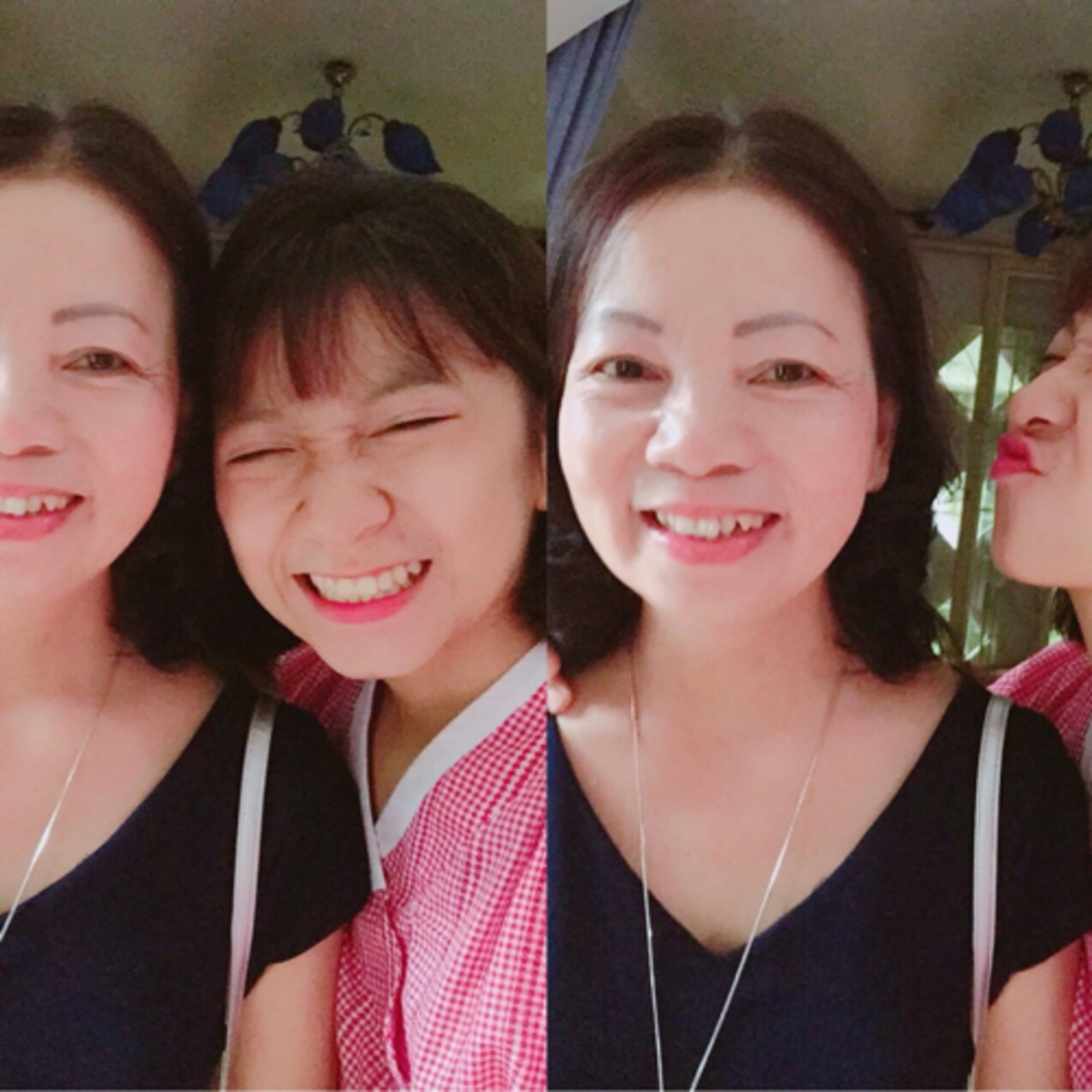 Tớ là Khỉ