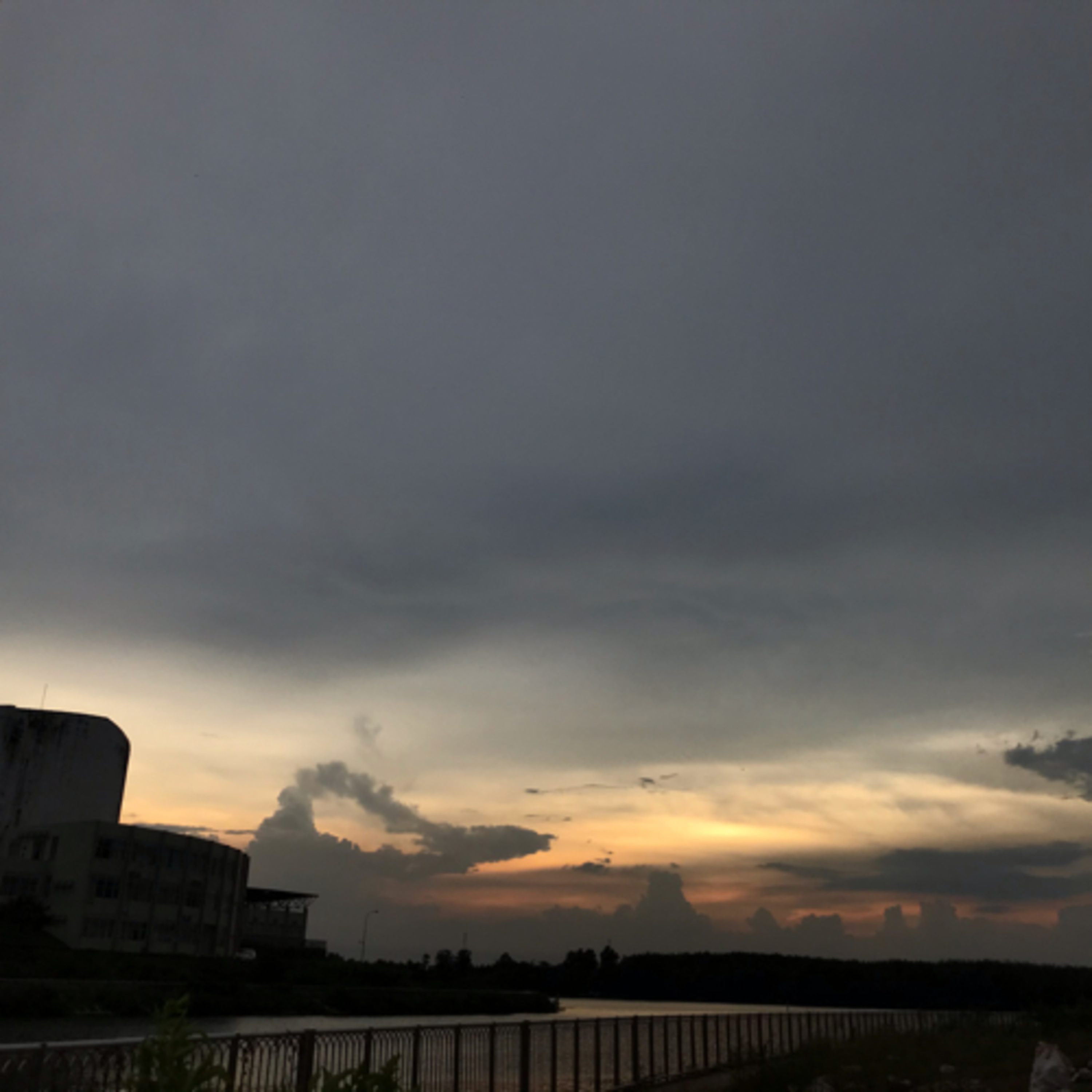 Tớ là Khỉ