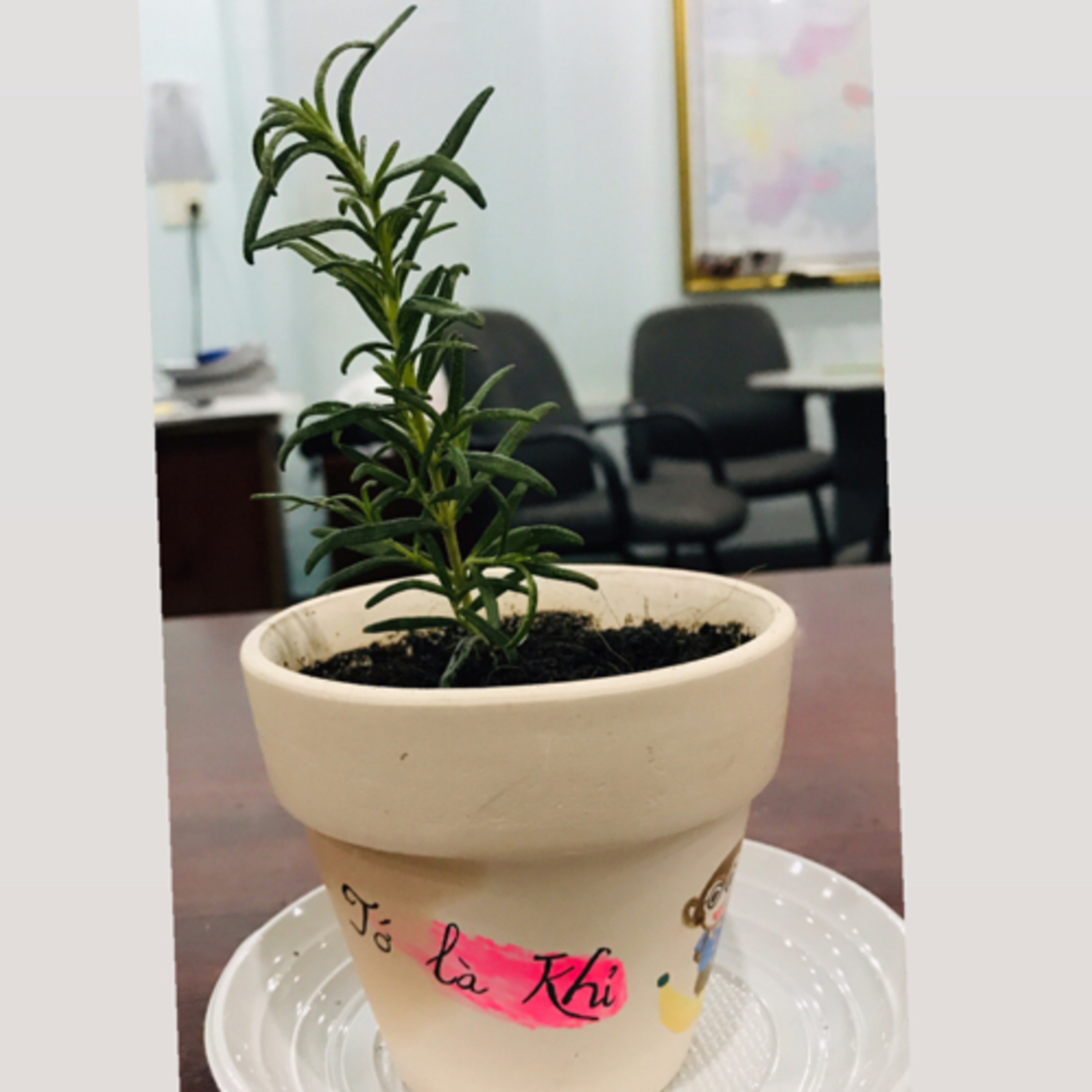 Tớ là Khỉ