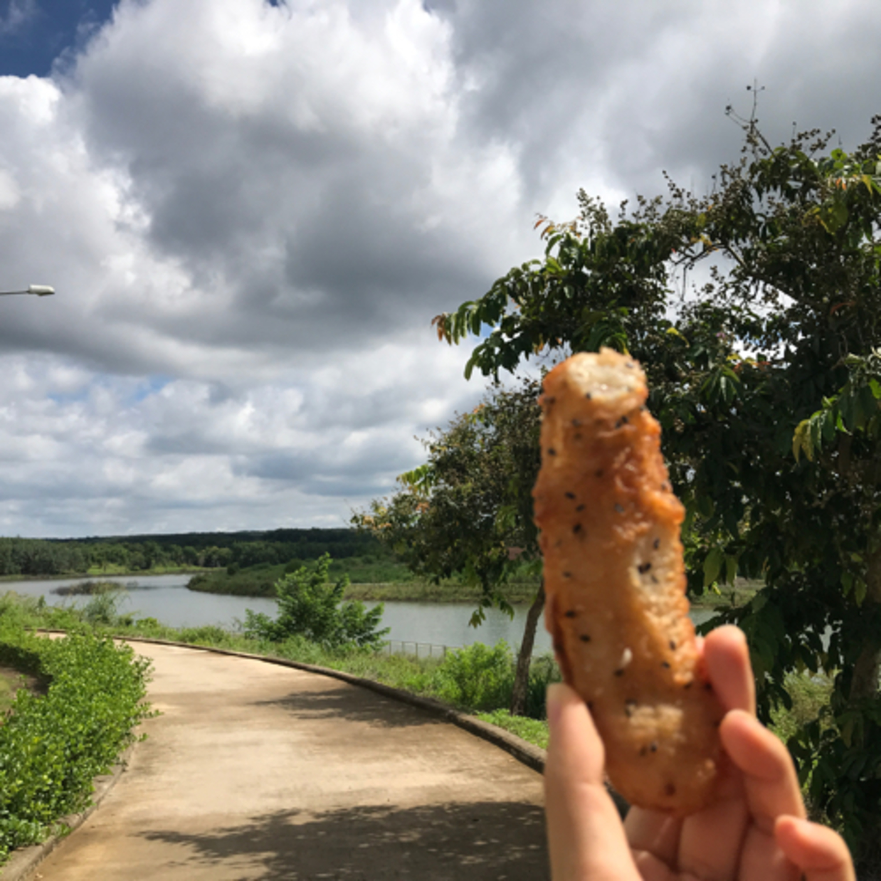 Tớ là Khỉ