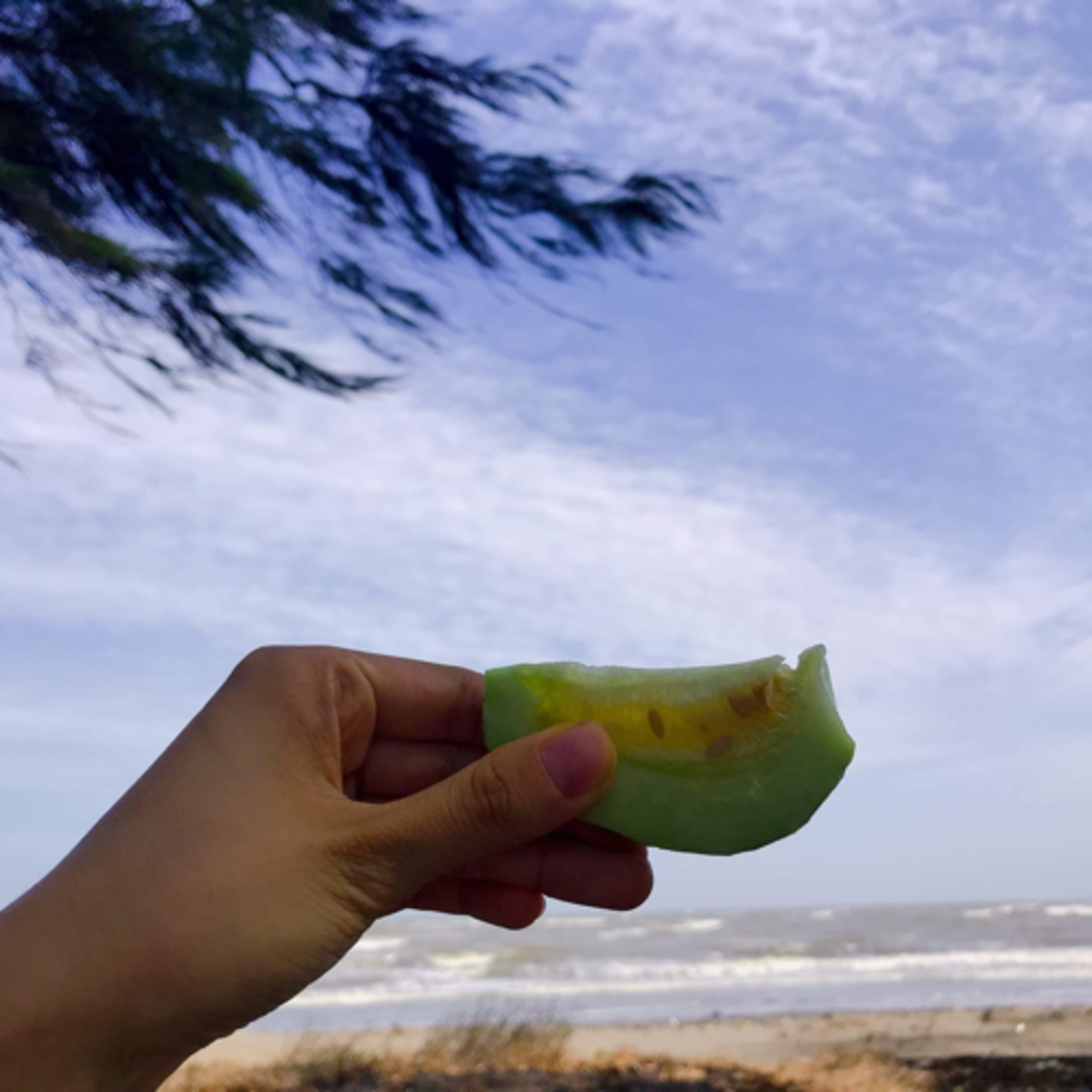 Tớ là Khỉ