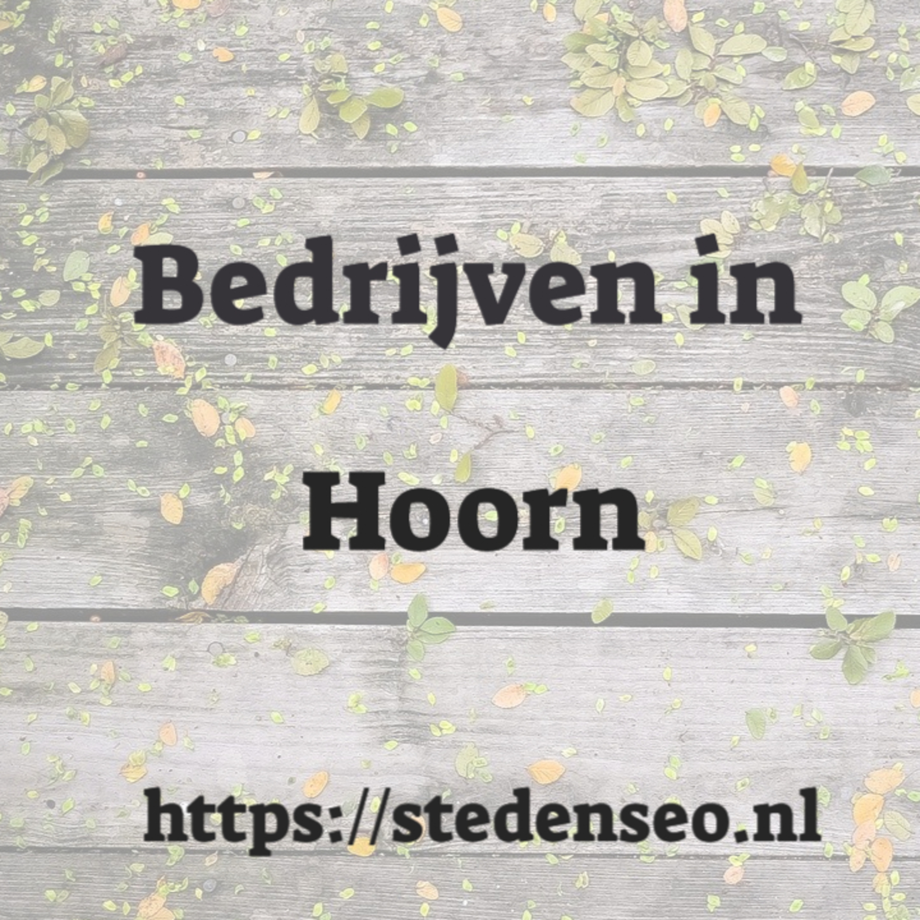 Durf te vragen over SEO