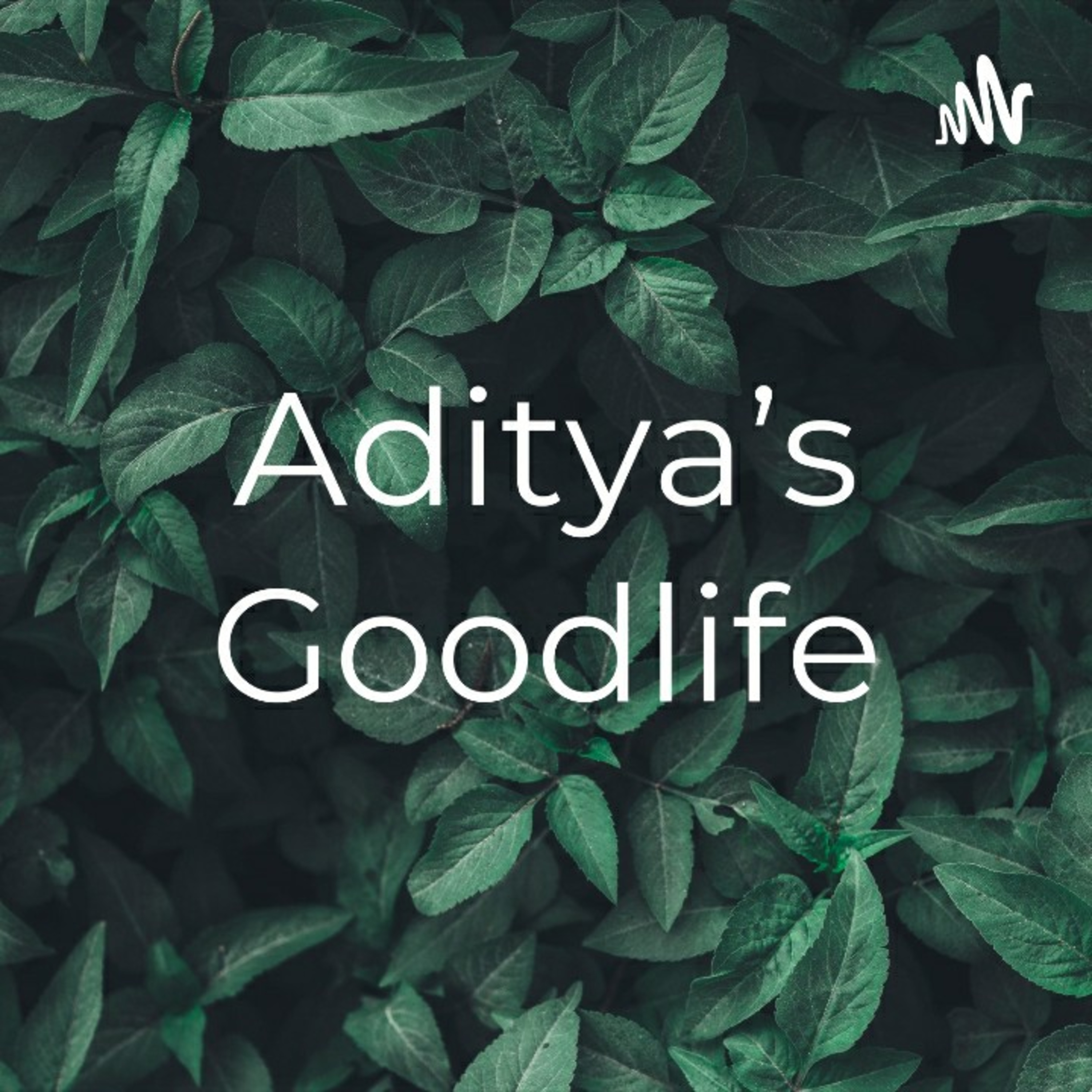 Aditya\'s Goodlife💪
