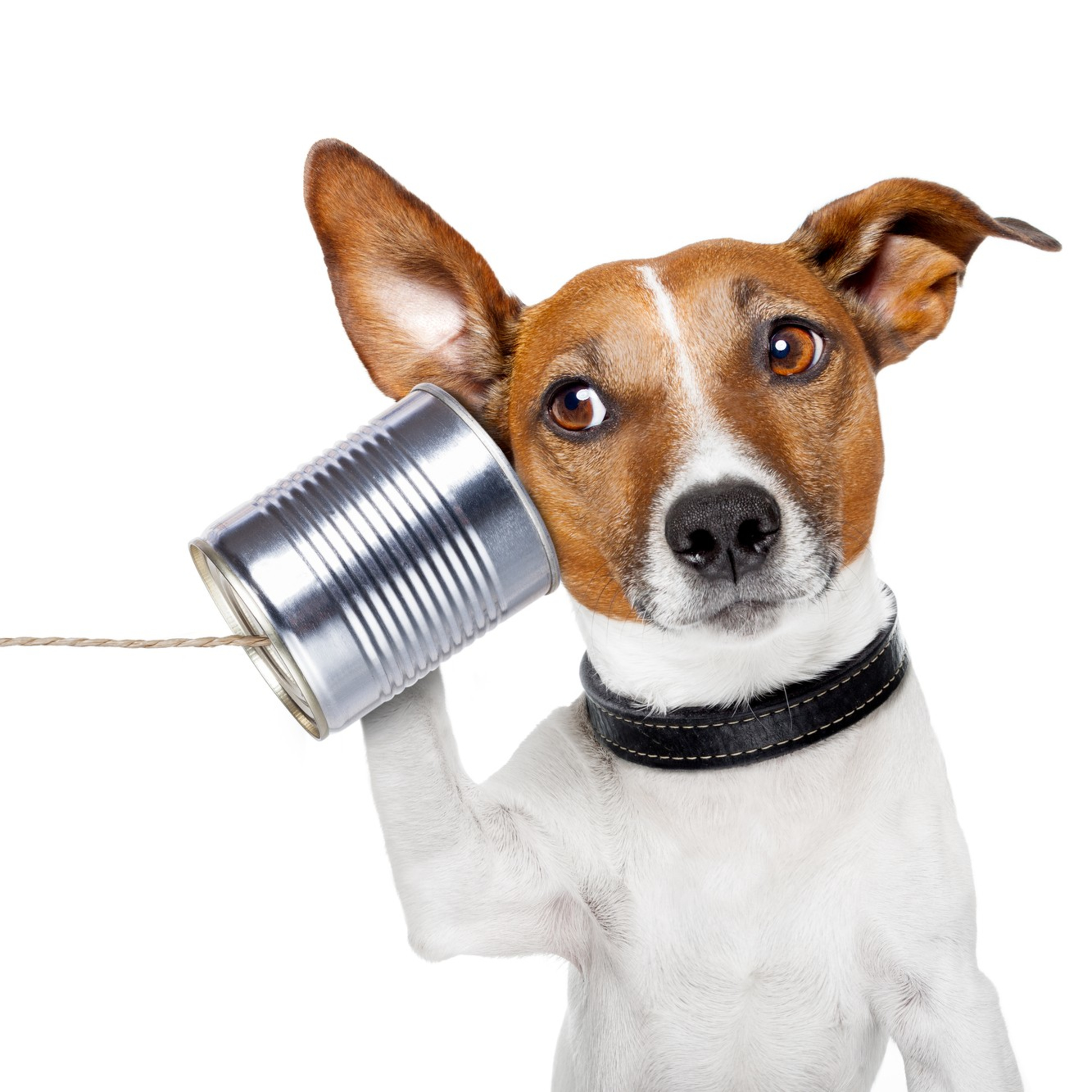 Tales from a Digital Marketing Realtor