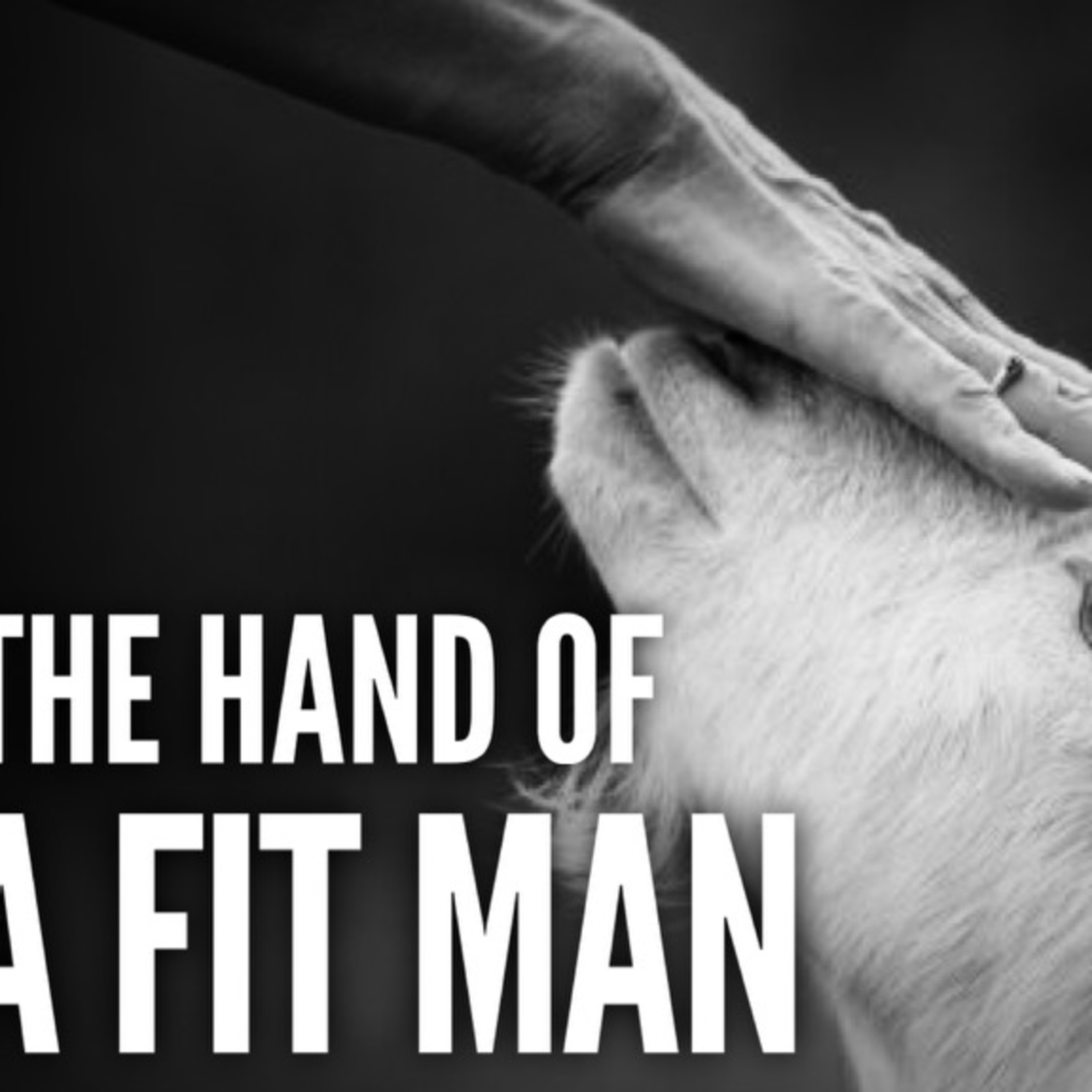 The Pentecostals of Sarasota