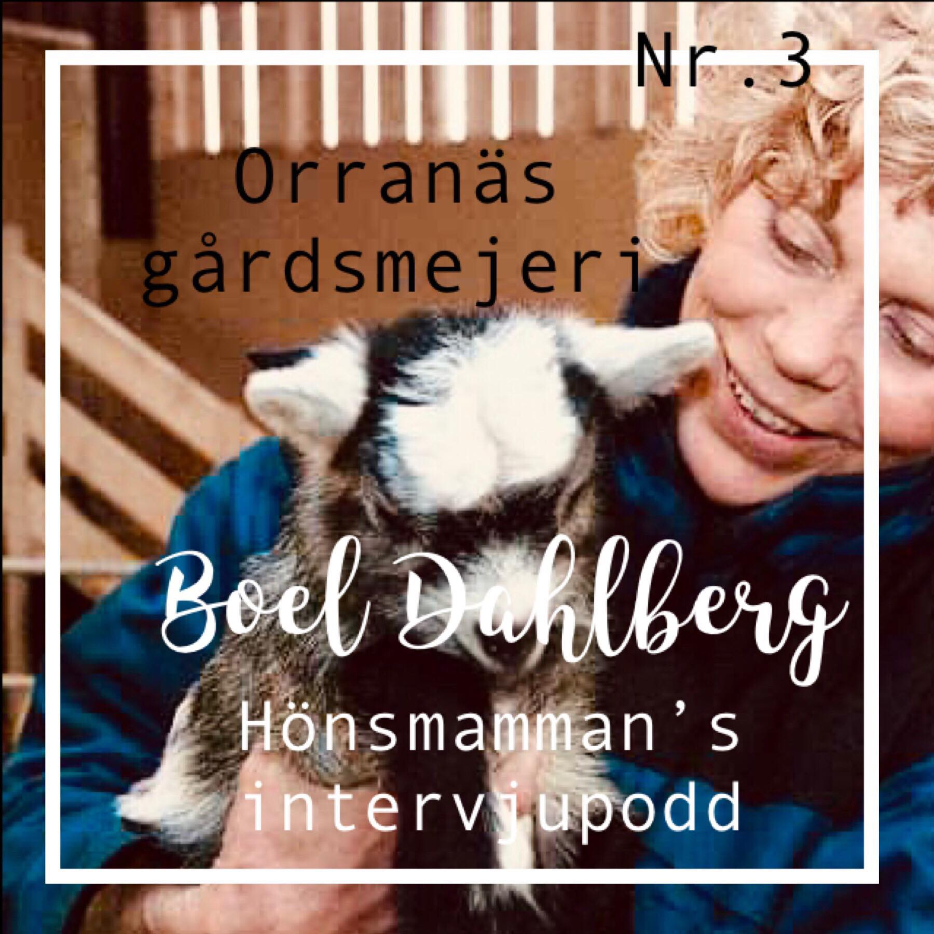 Hönsmamman\'s intervjupodd