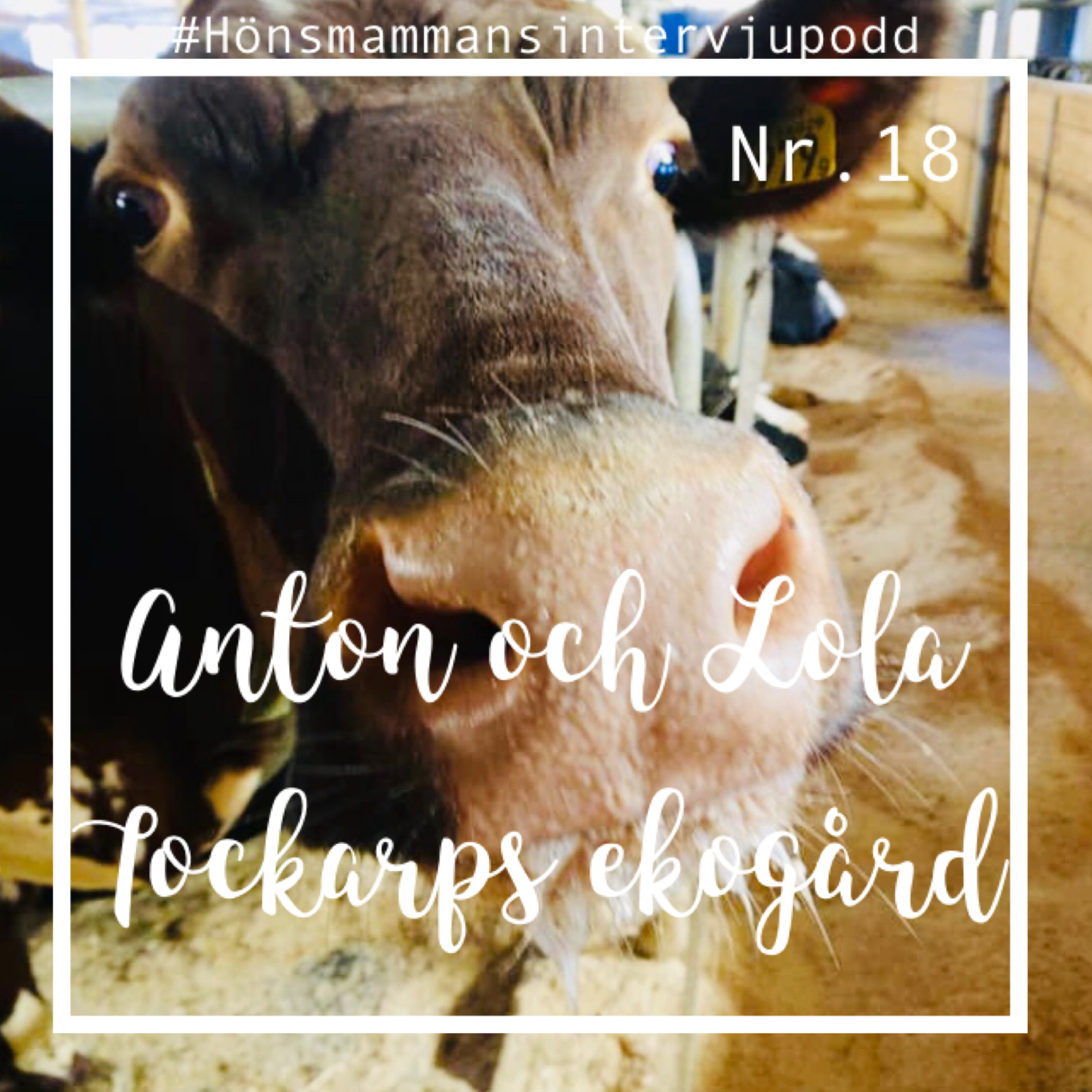 Hönsmamman\'s intervjupodd