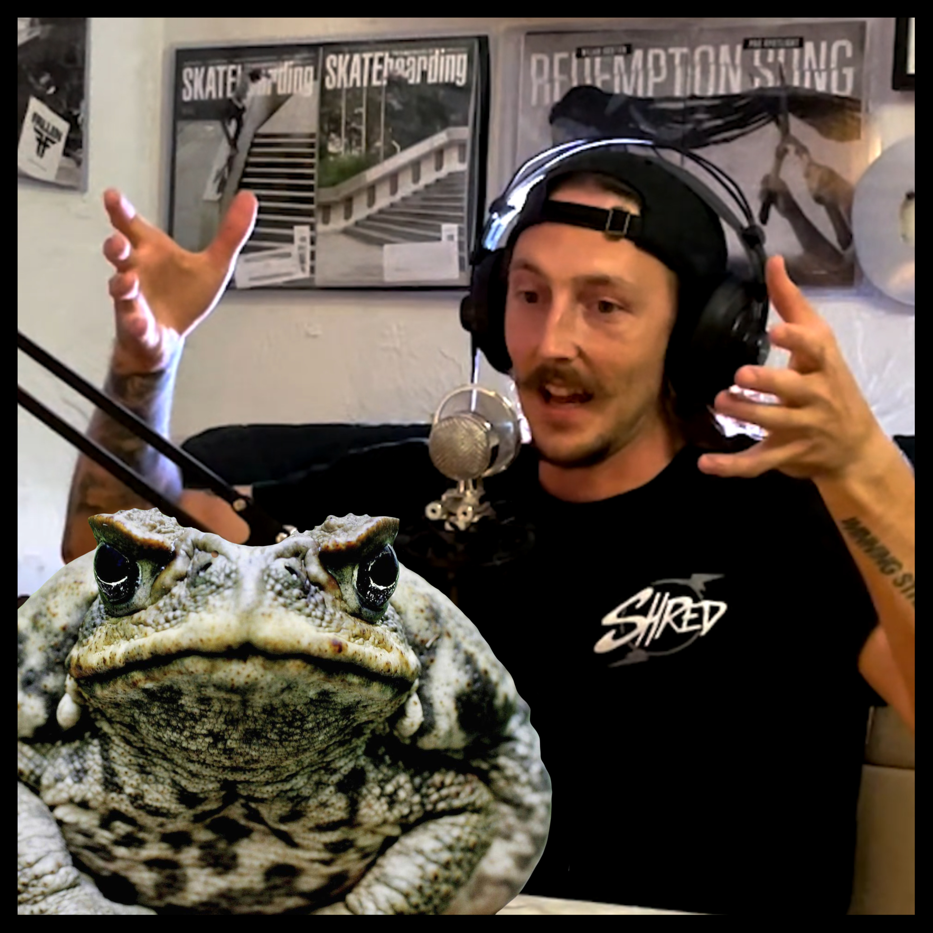City of Palms Podcast