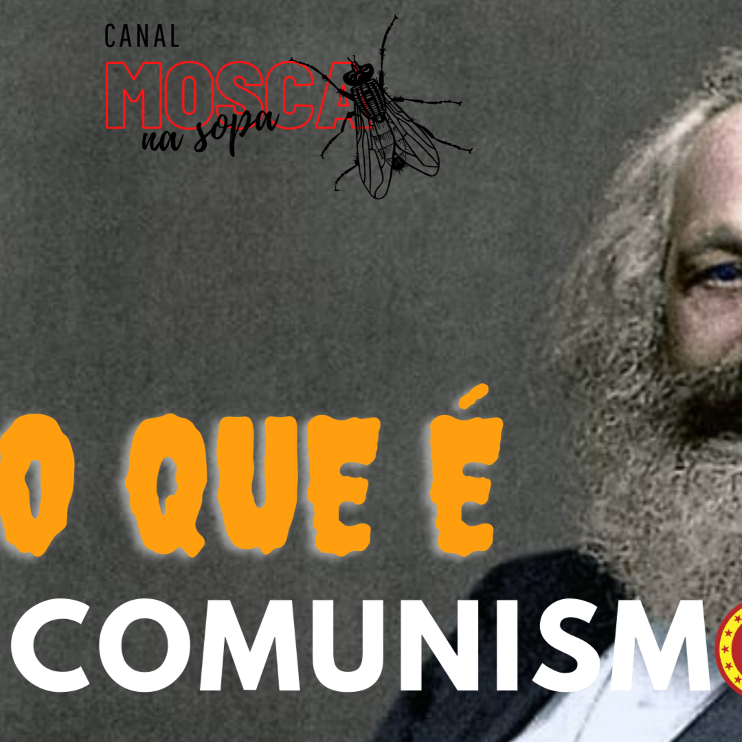 MOSCA NA SOPA