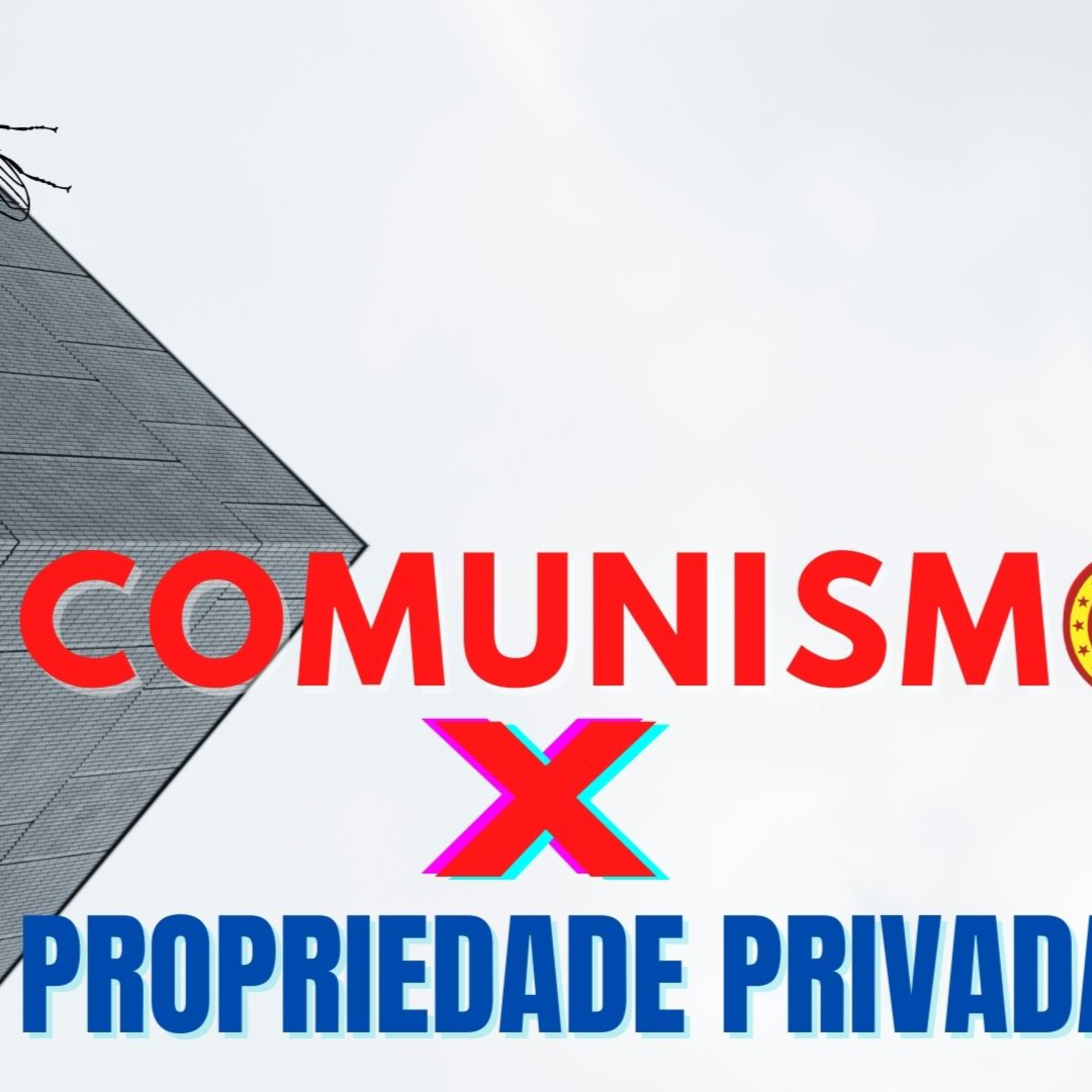 MOSCA NA SOPA