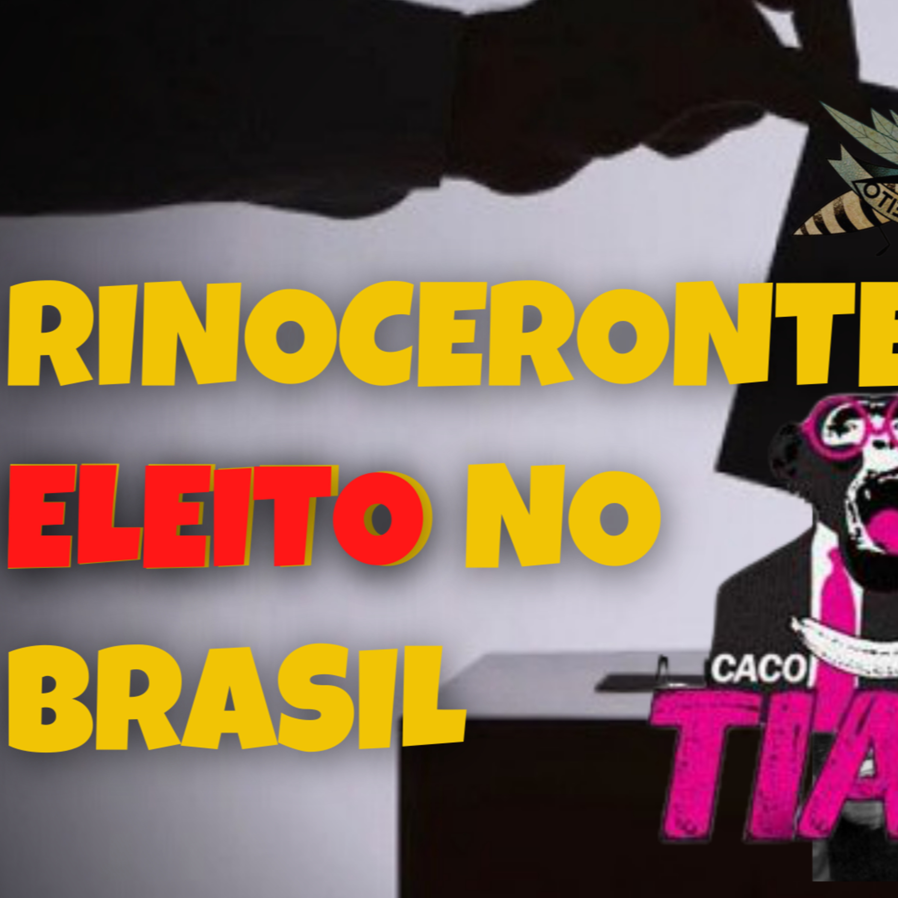 MOSCA NA SOPA