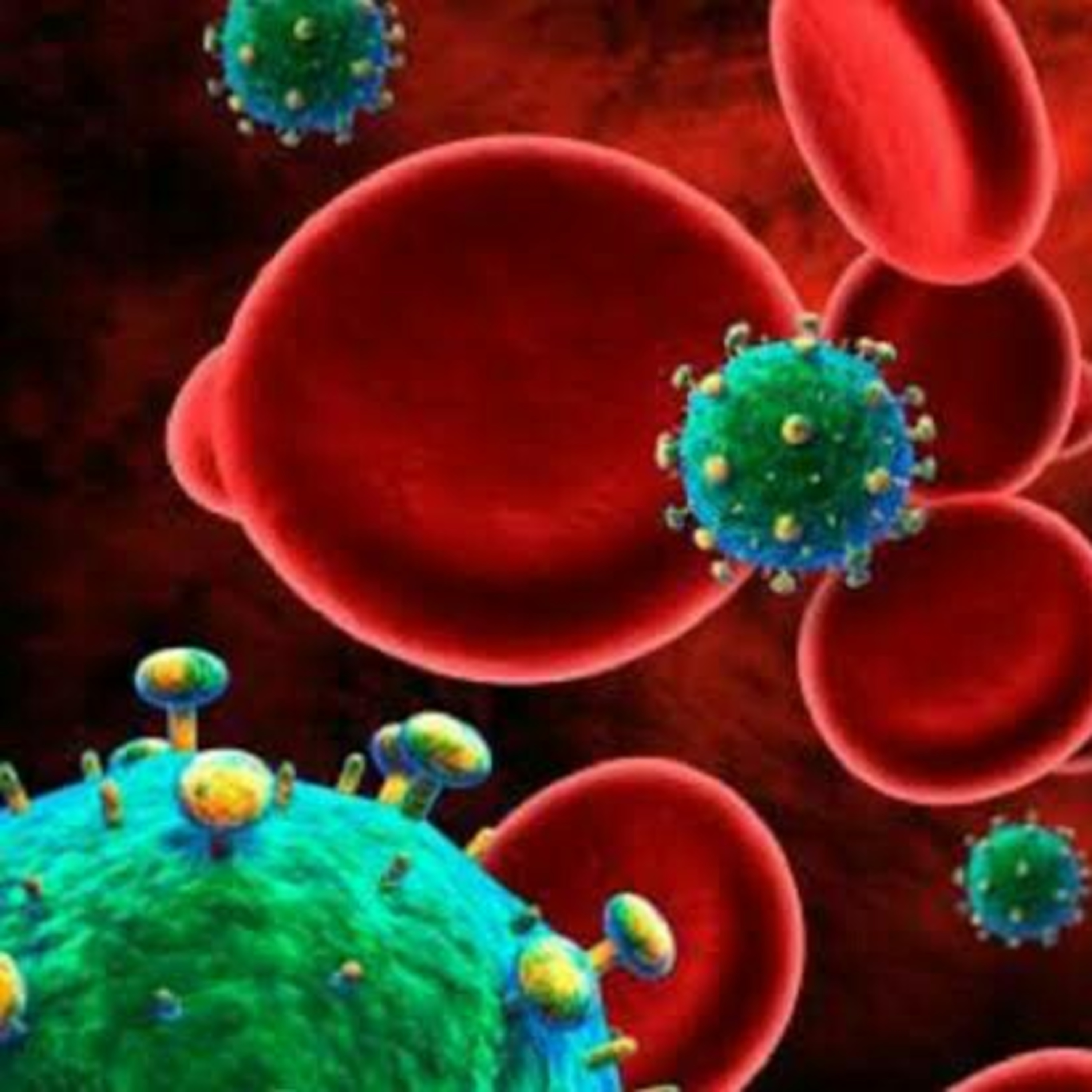 ¿Los virus están vivos?                 