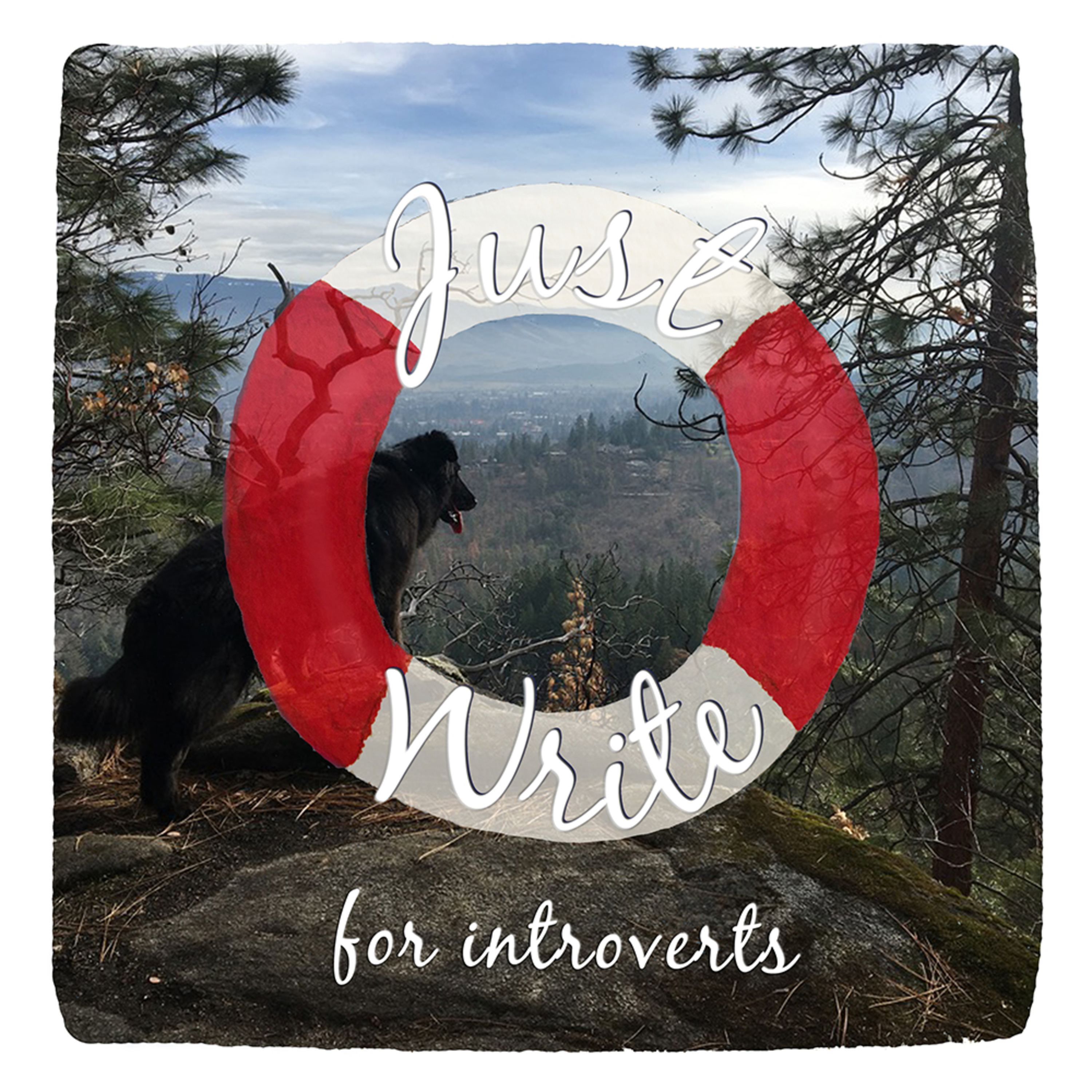 Just Write for introverts