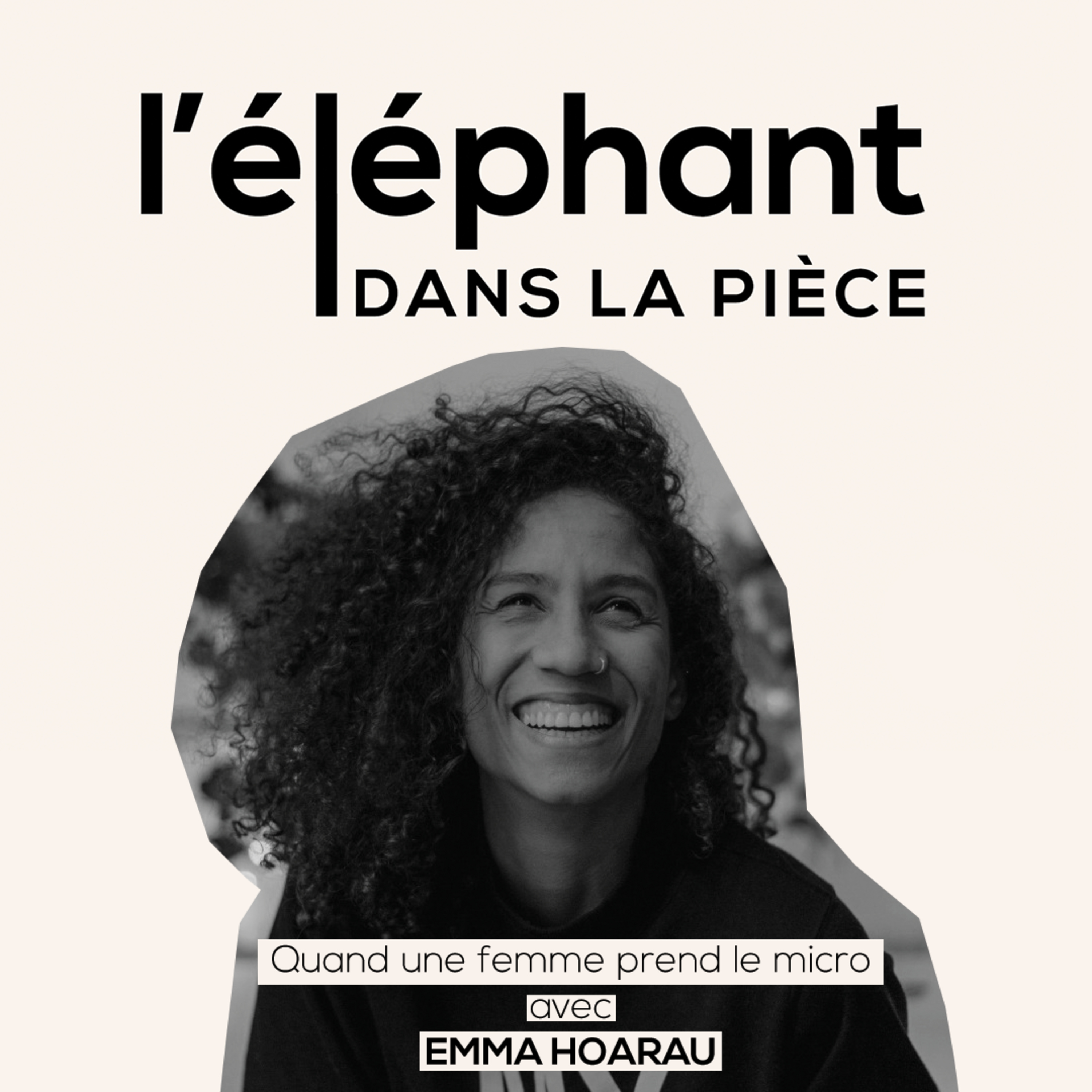 L\'Éléphant Dans La Pièce