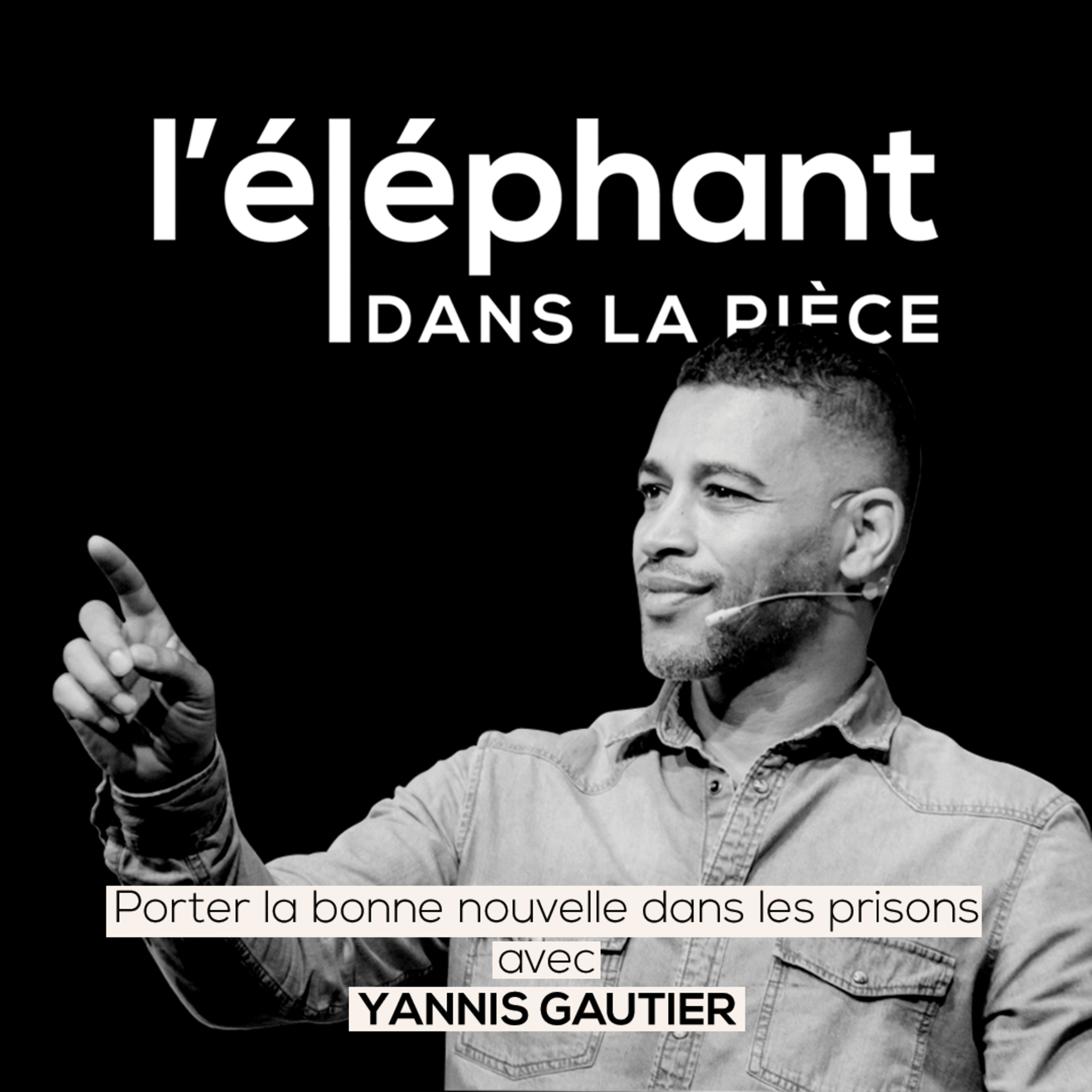 L\'Éléphant Dans La Pièce