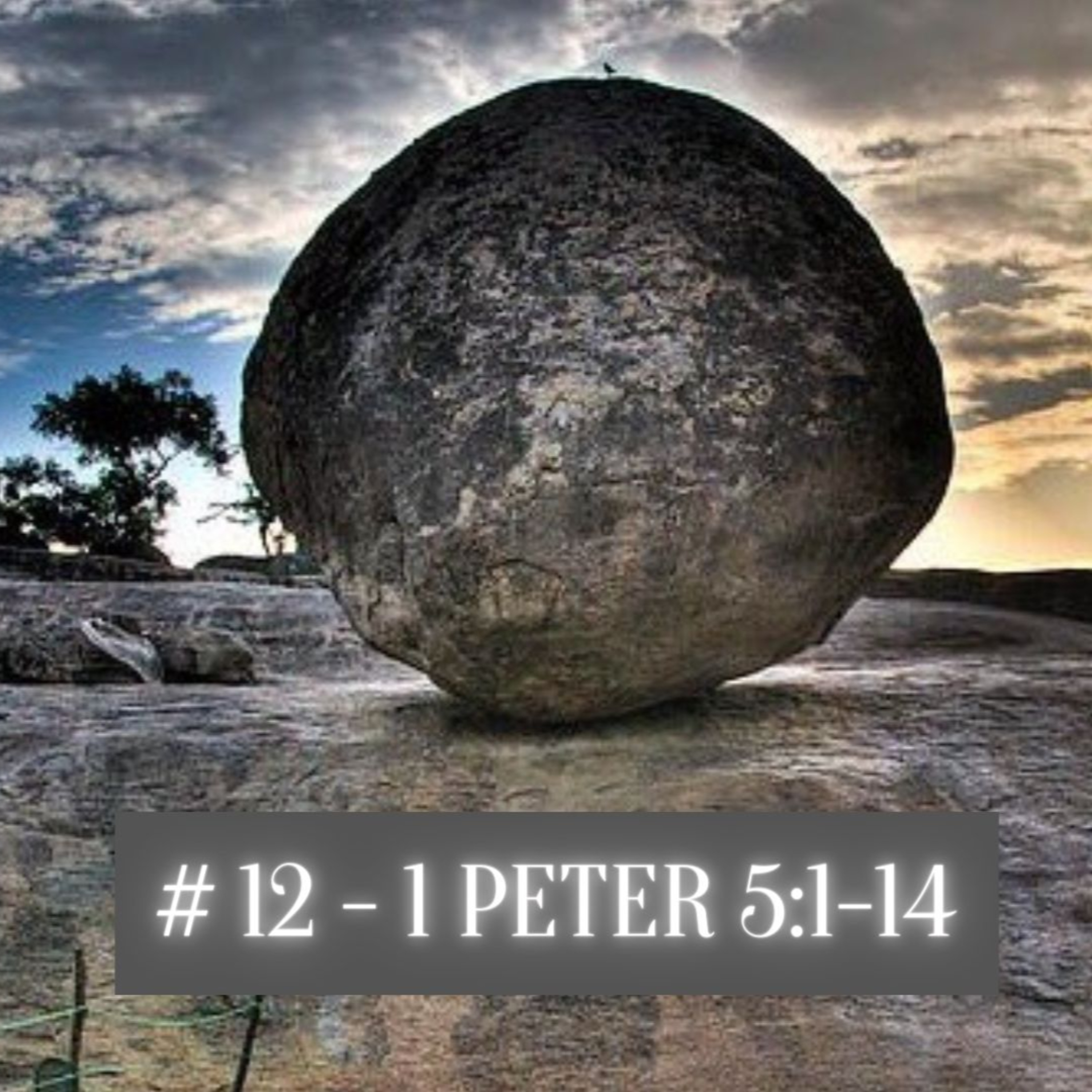 12 - 1 Peter 5:1-14 episode artwork