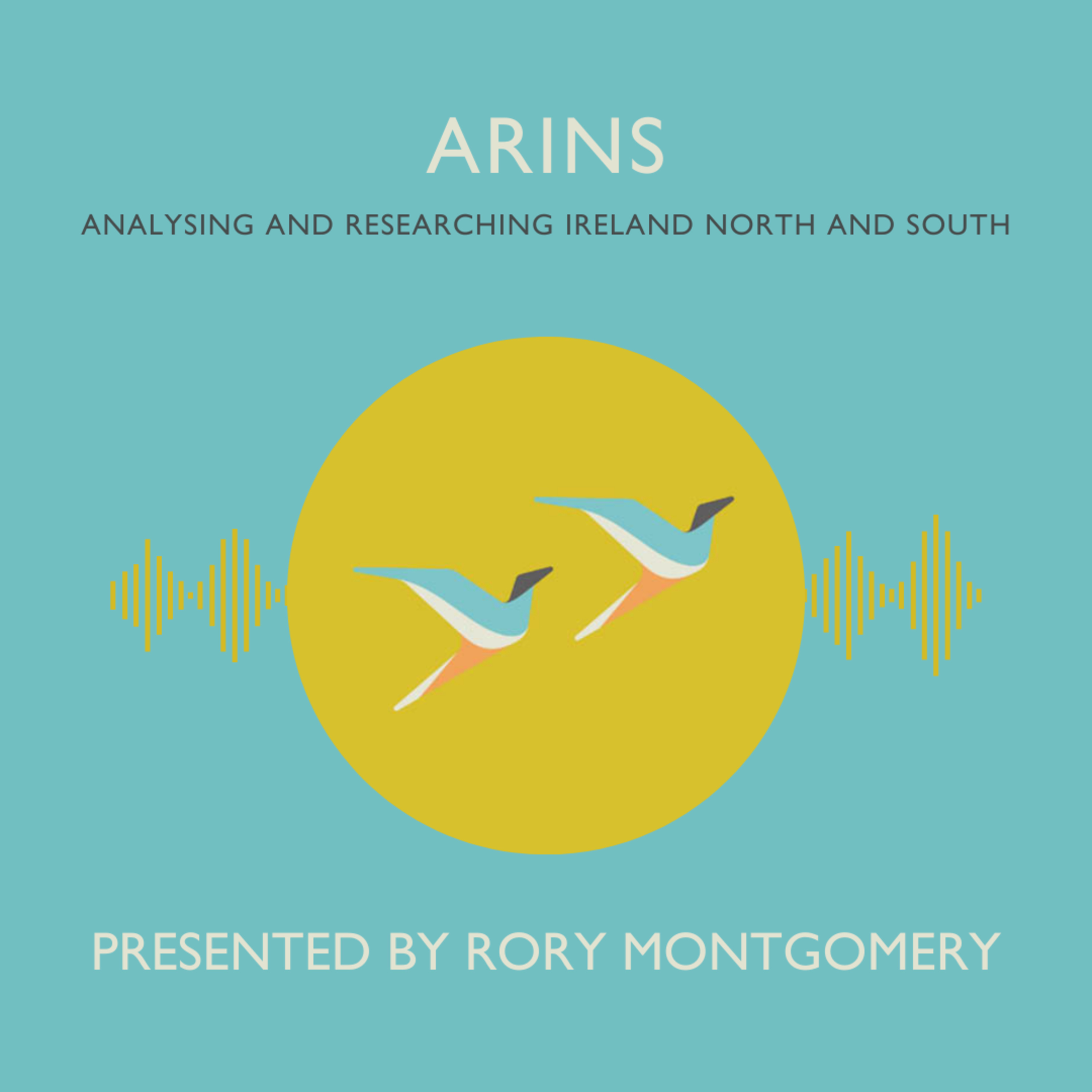ARINS: Analysing and Researching Ireland North and South