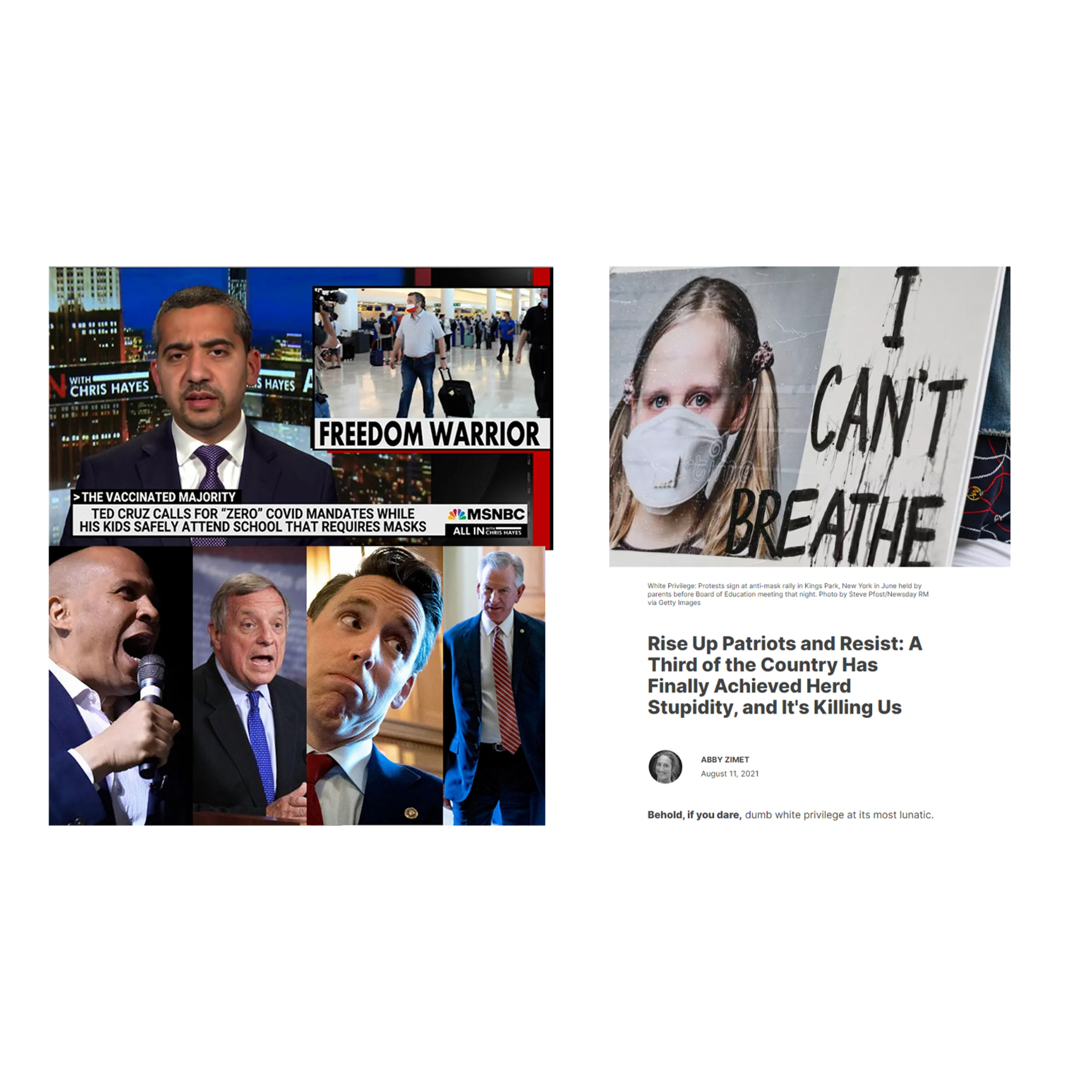 Watch Republicans make a fool of themselves on #DefundThePolice, COVID is not the danger!