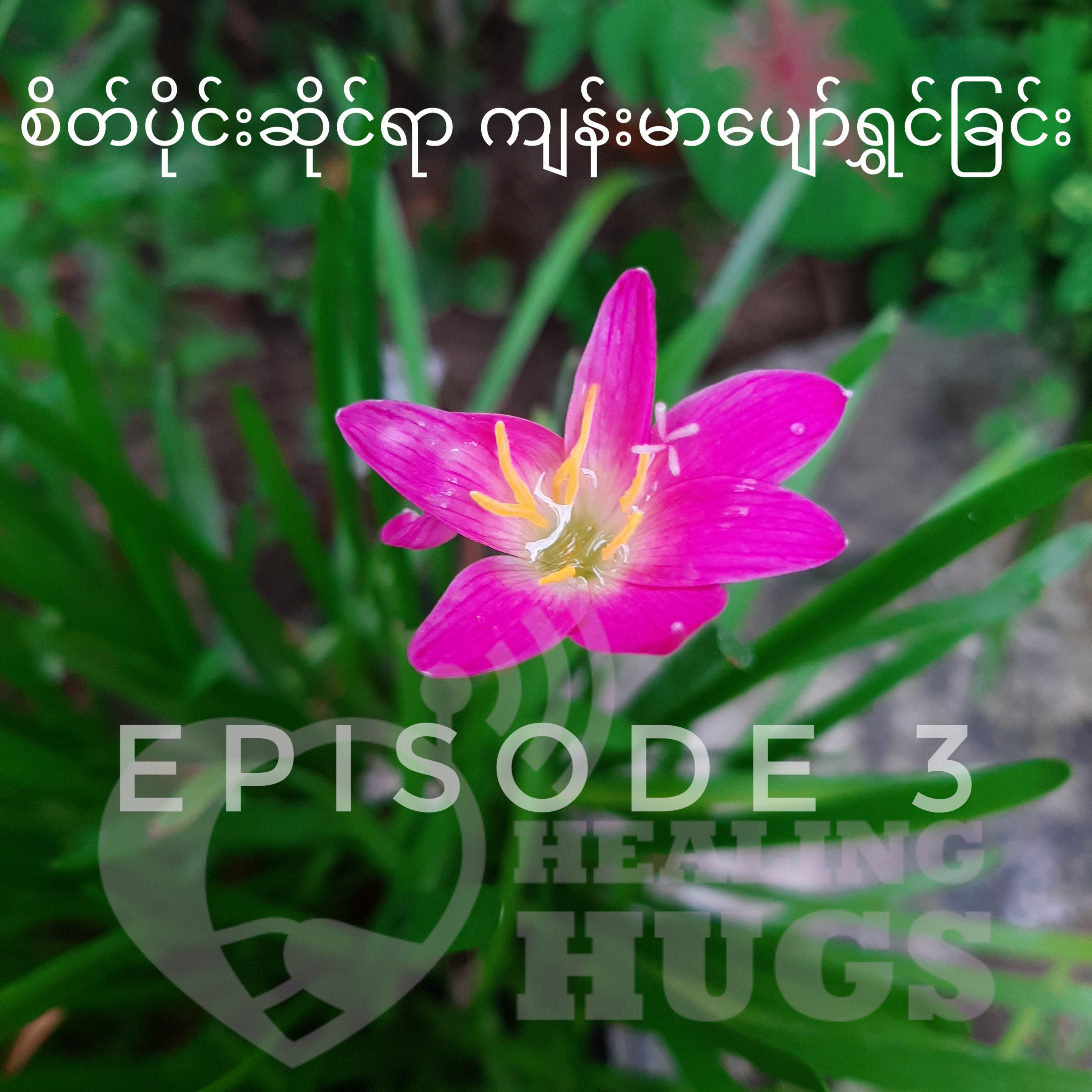 Healing Hugs
