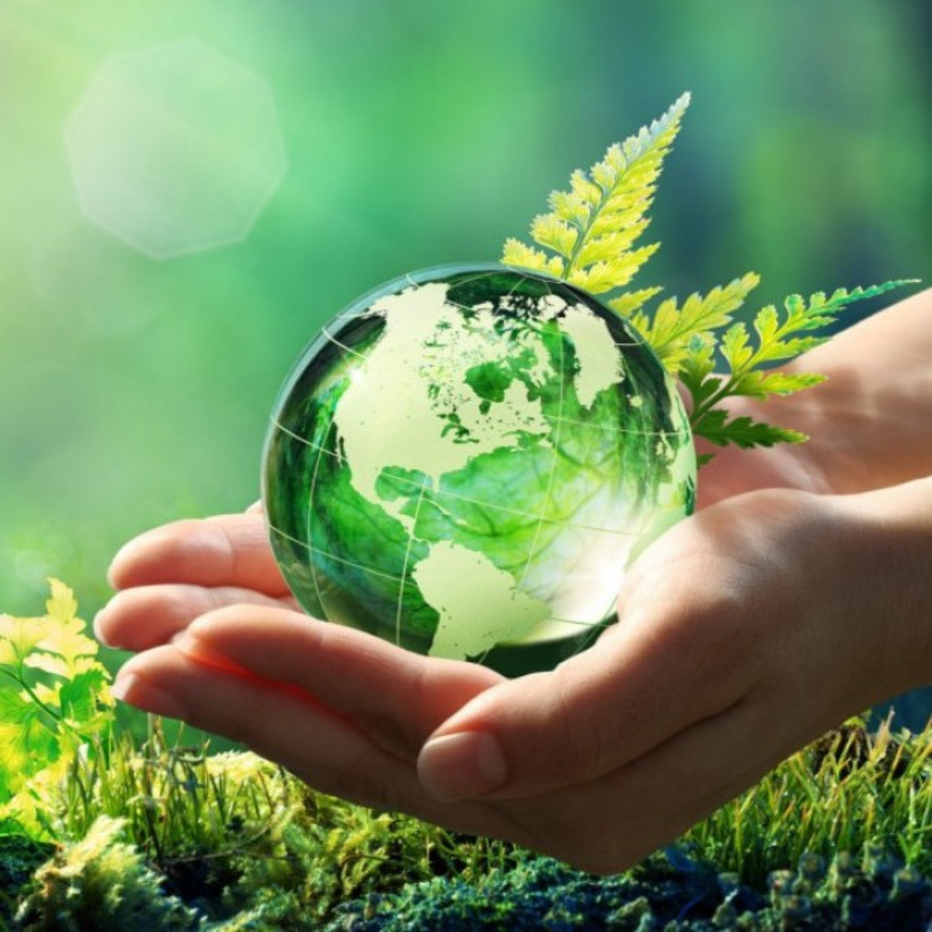 "CUIDAMOS EL MEDIO AMBIENTE" 