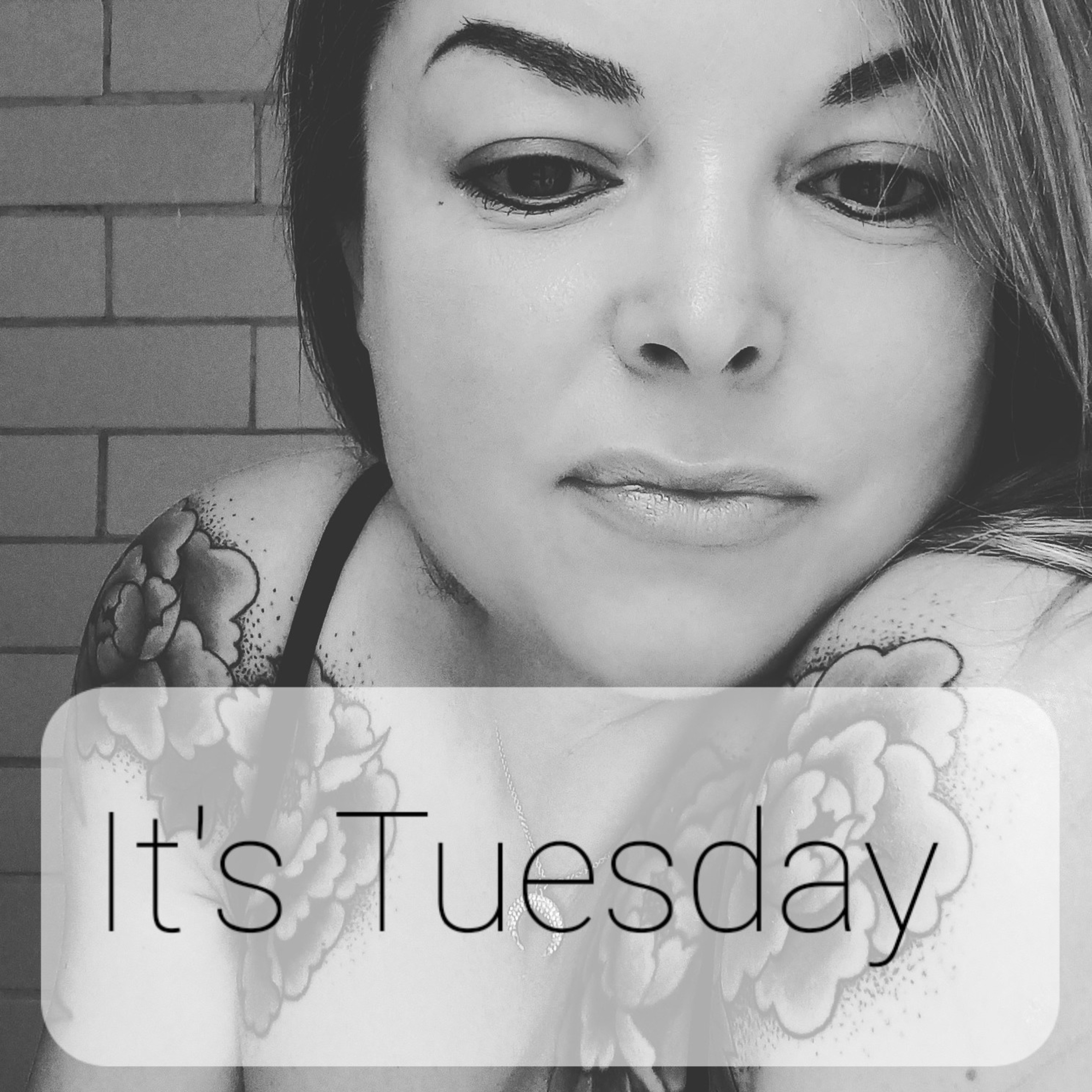 It's Tuesday  episode artwork
