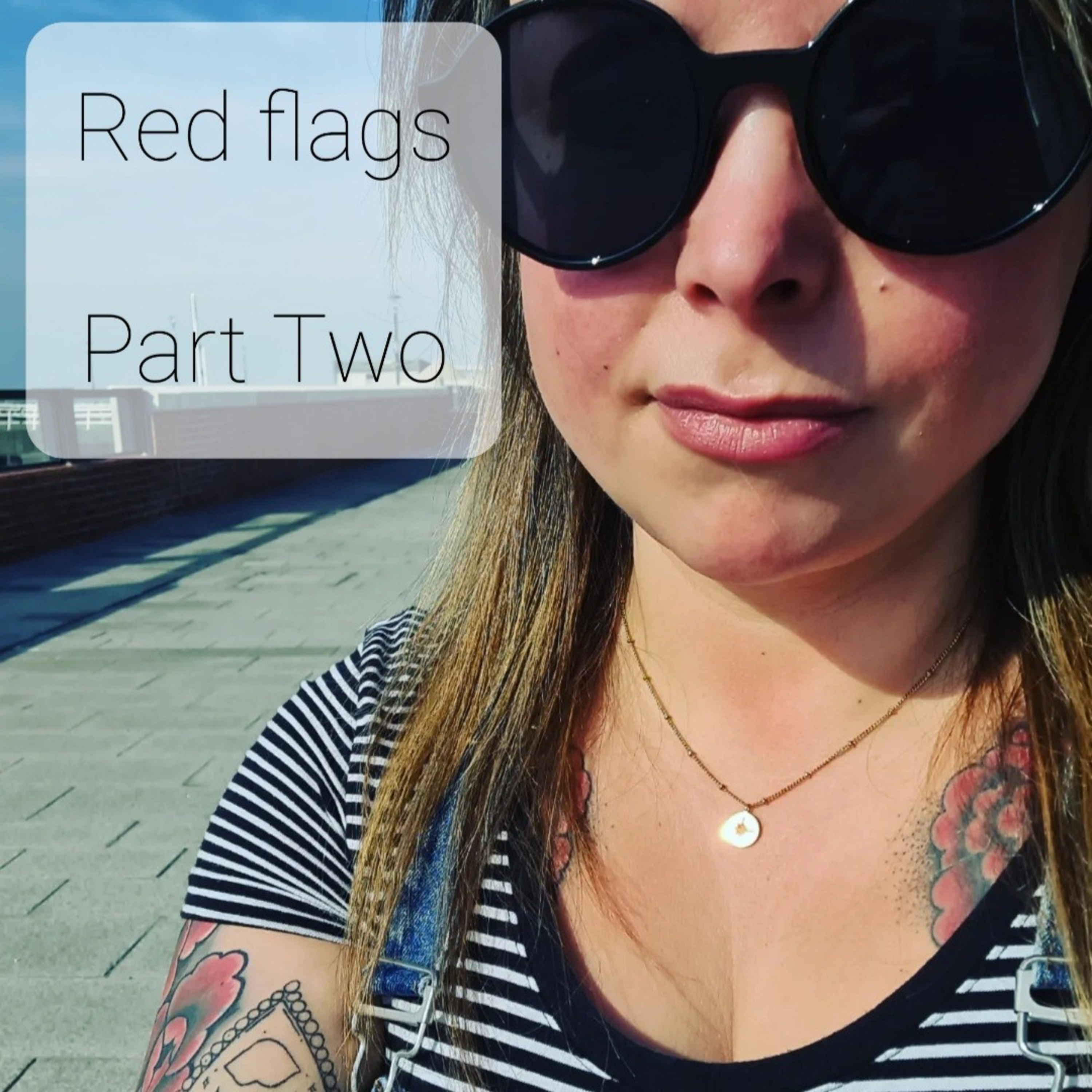 Part two, Red Flags episode artwork