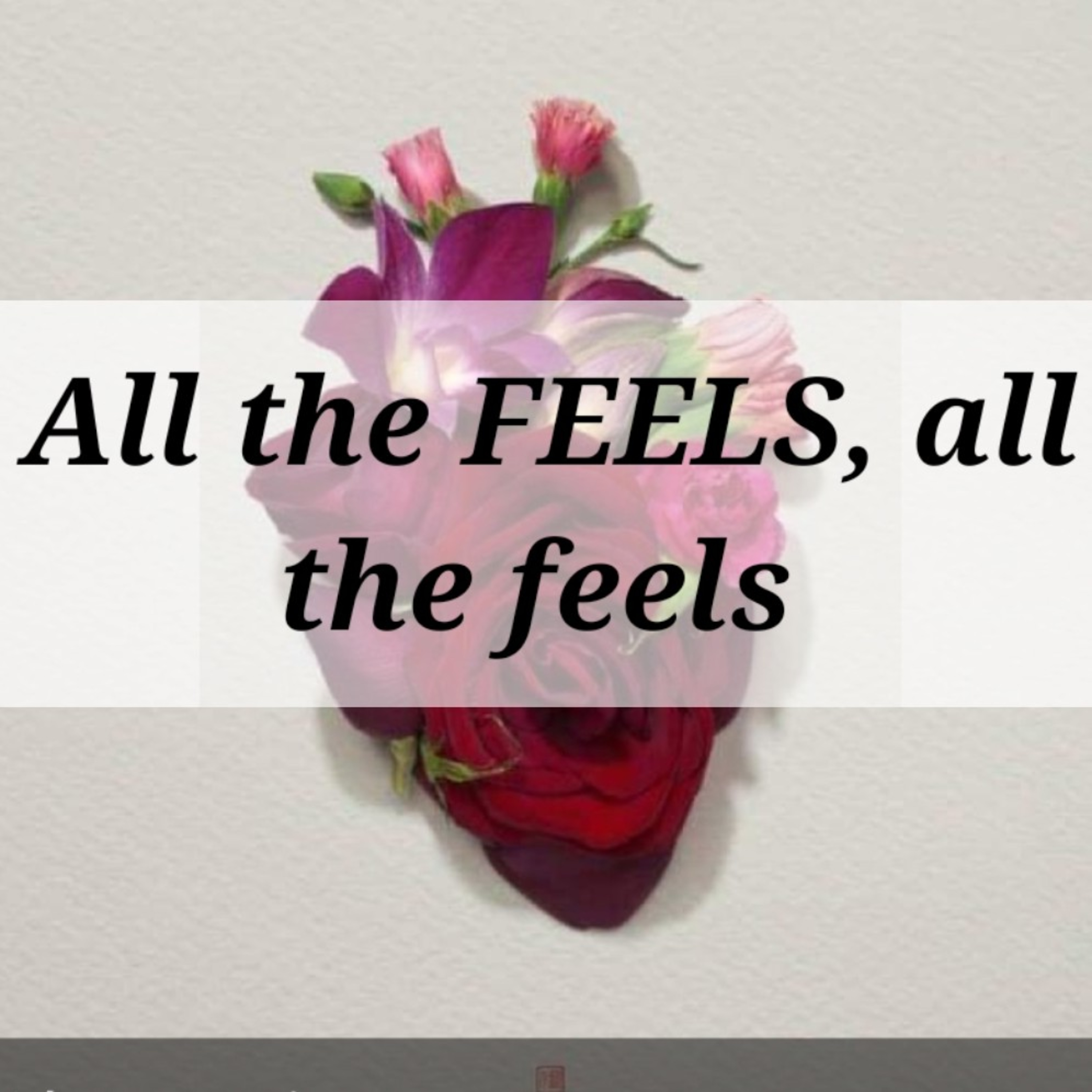 All the FEELS, all the feels  episode artwork