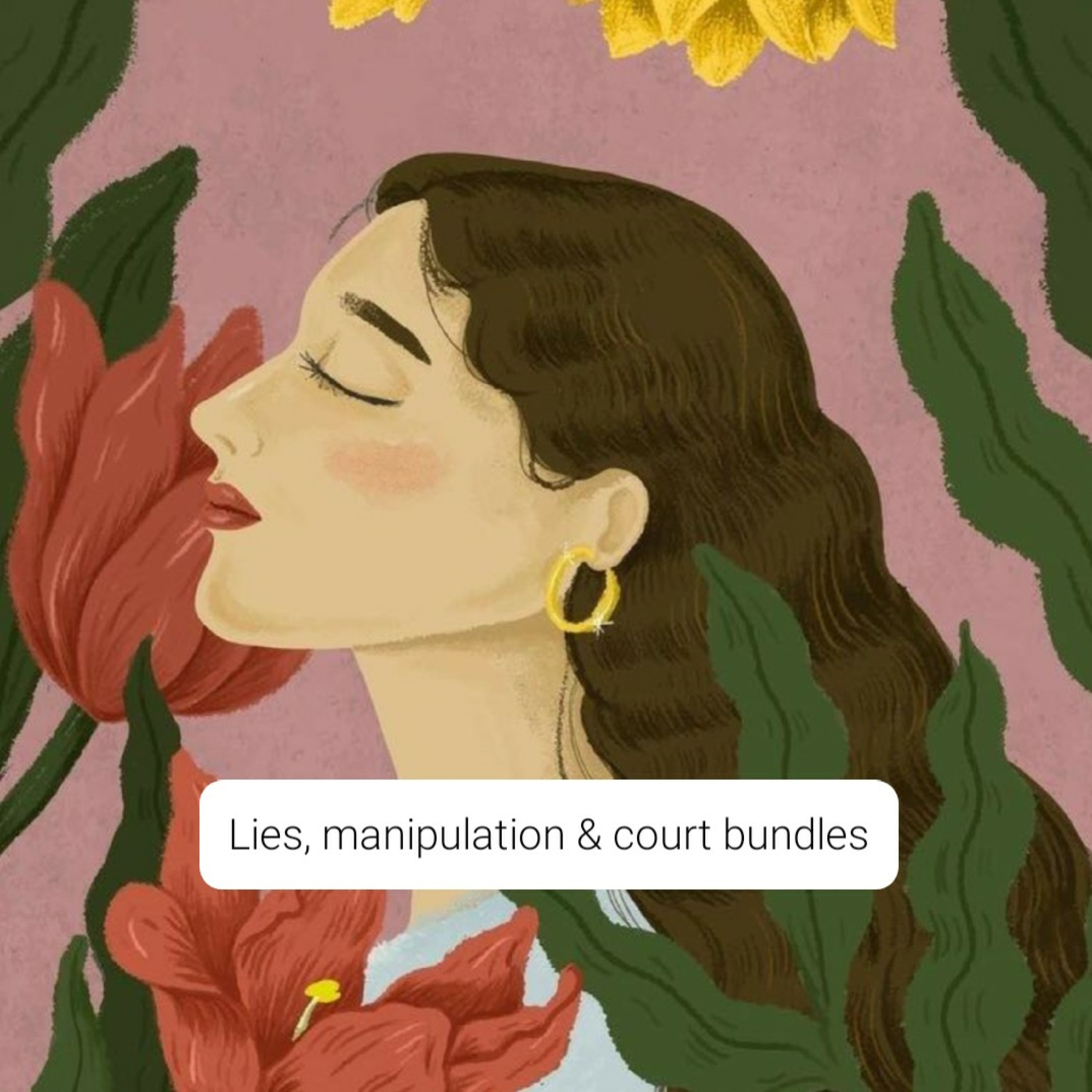Lies, manipulation & court bundles episode artwork