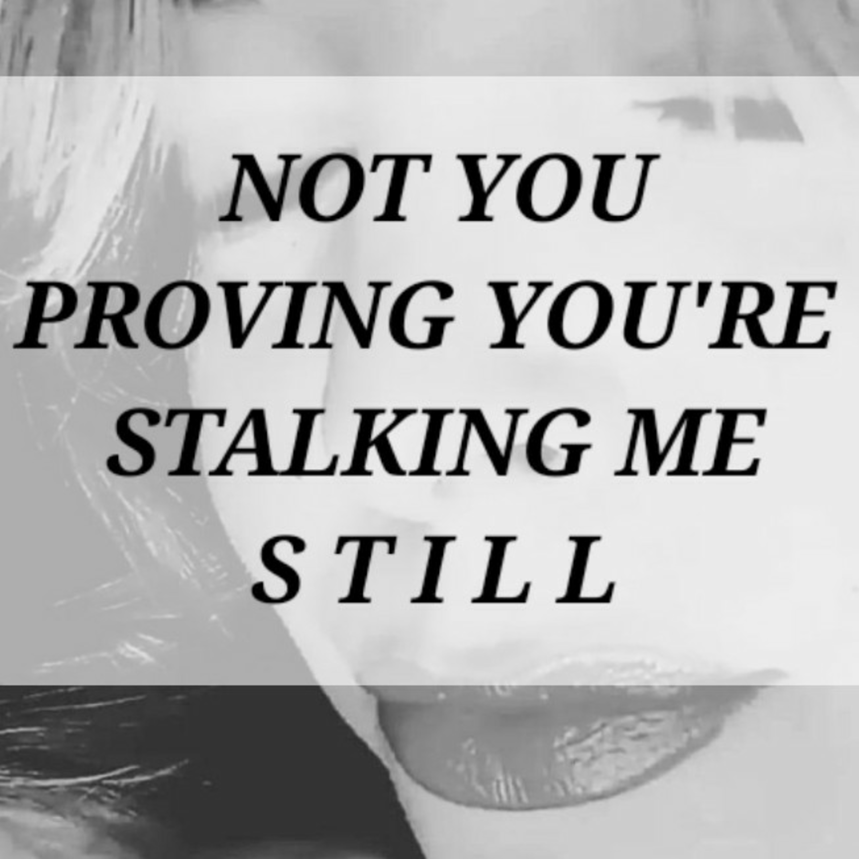 NOT YOU
PROVING YOU'RE 
STALKING ME
S T I L L episode artwork