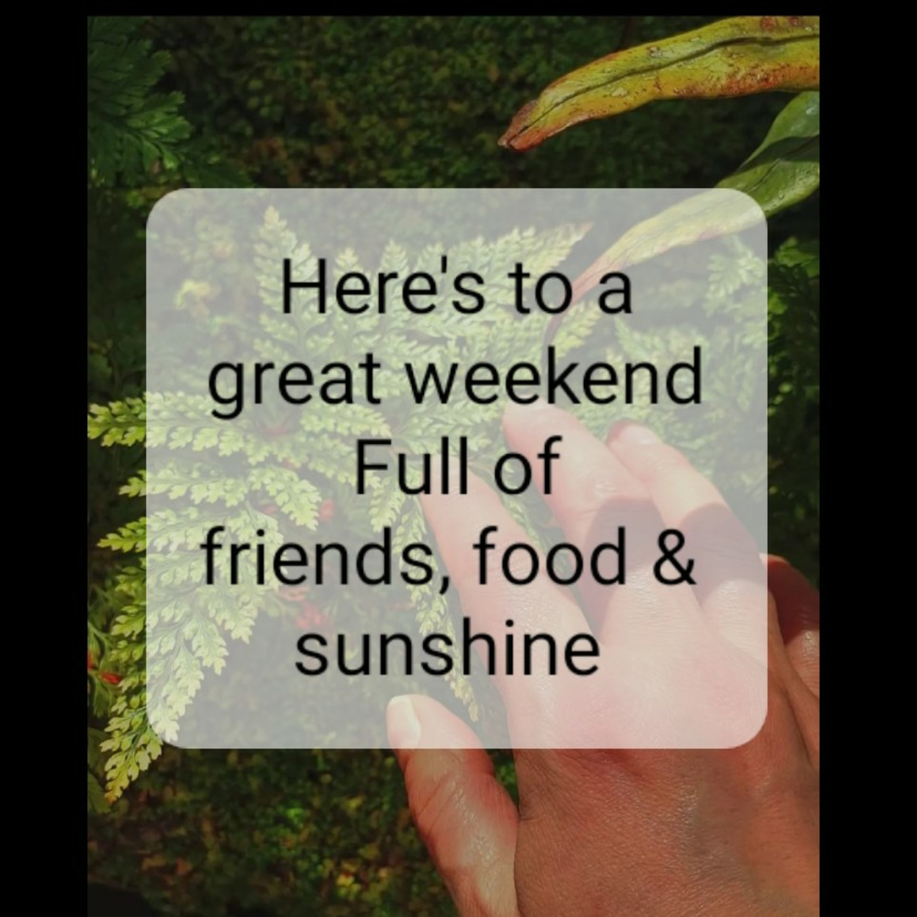 Here's to a
great weekend
Full of
friends, food & sunshine  episode artwork