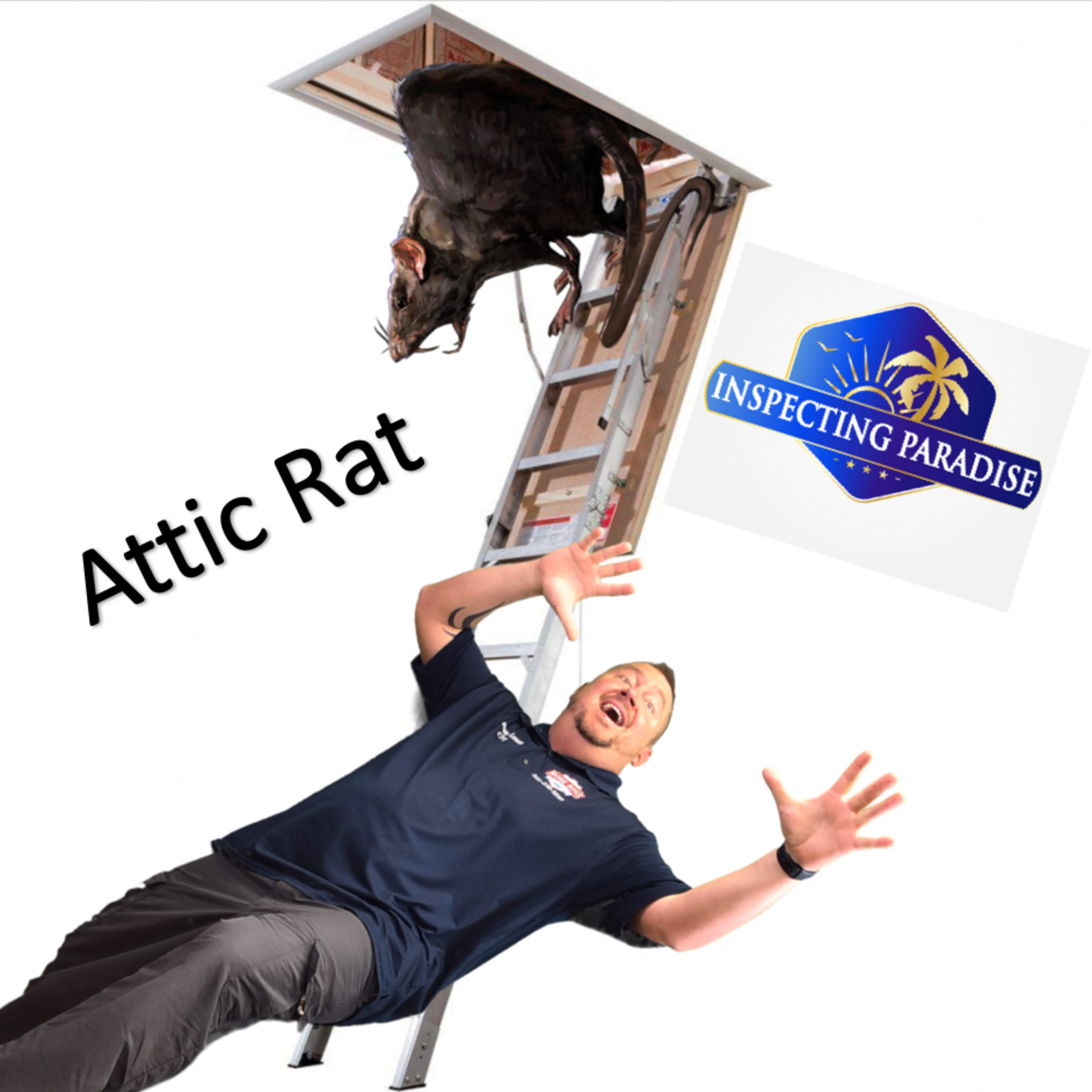 The Attic Rat  episode artwork