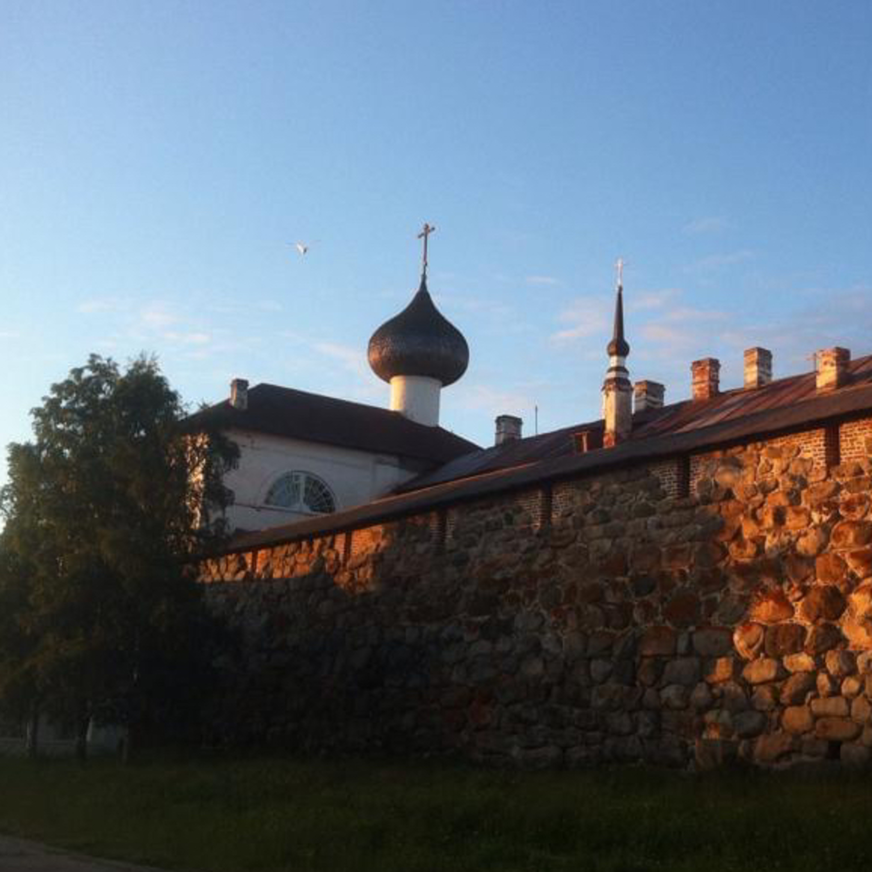 Historie Tores Tullprat