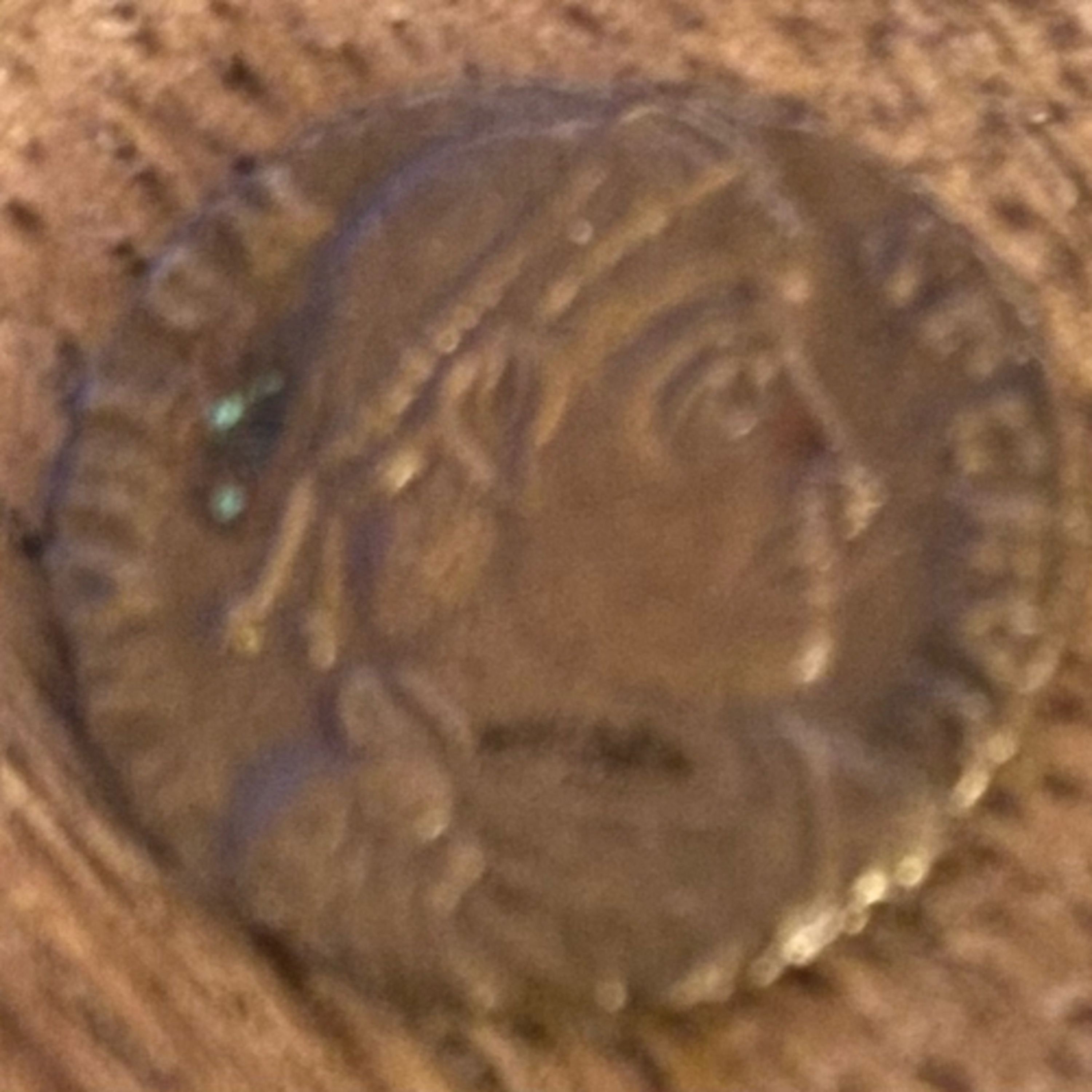 Historie Tores Tullprat