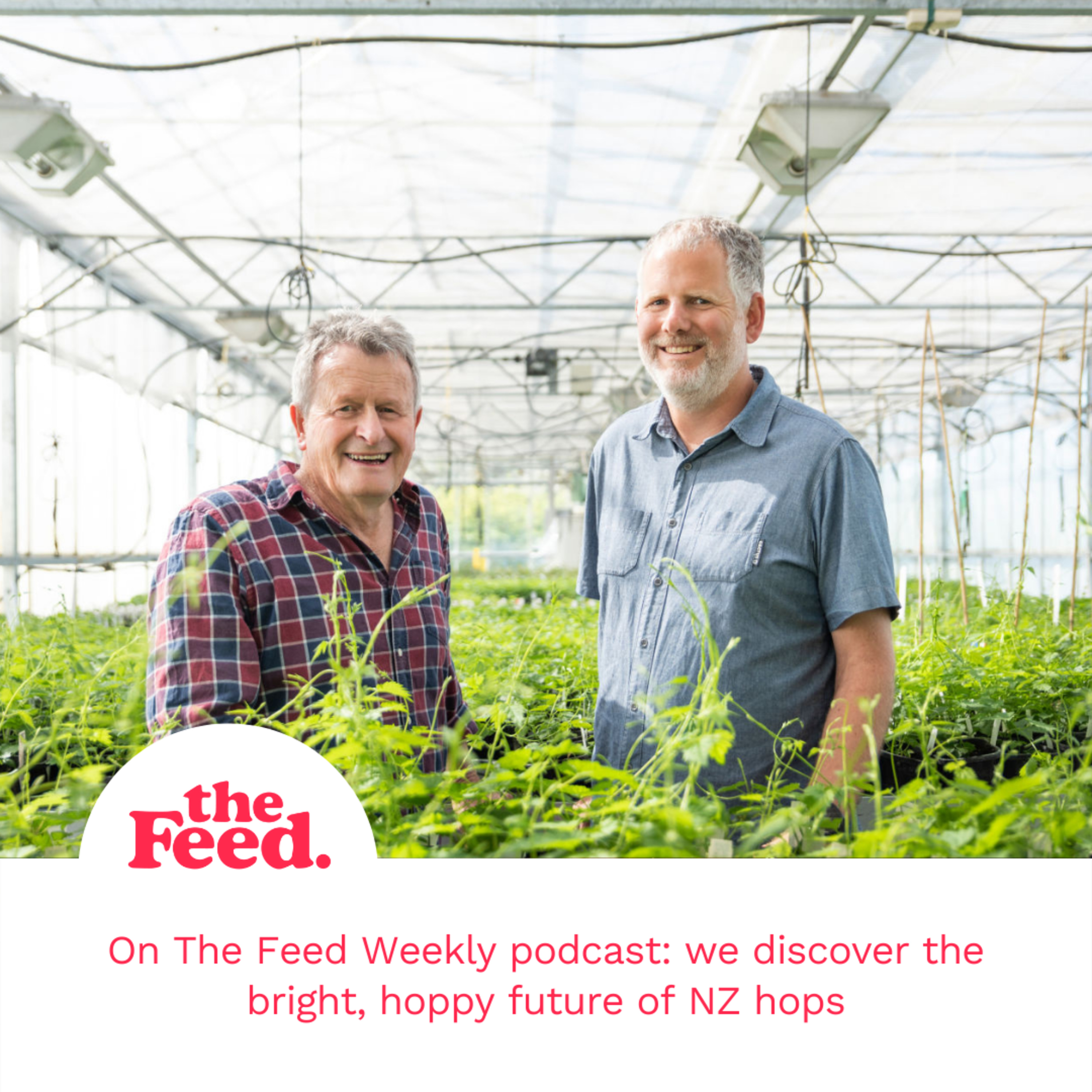 Hop and happening – how NZ hops became big. With Ron Beatson and Kerry Templeton episode artwork