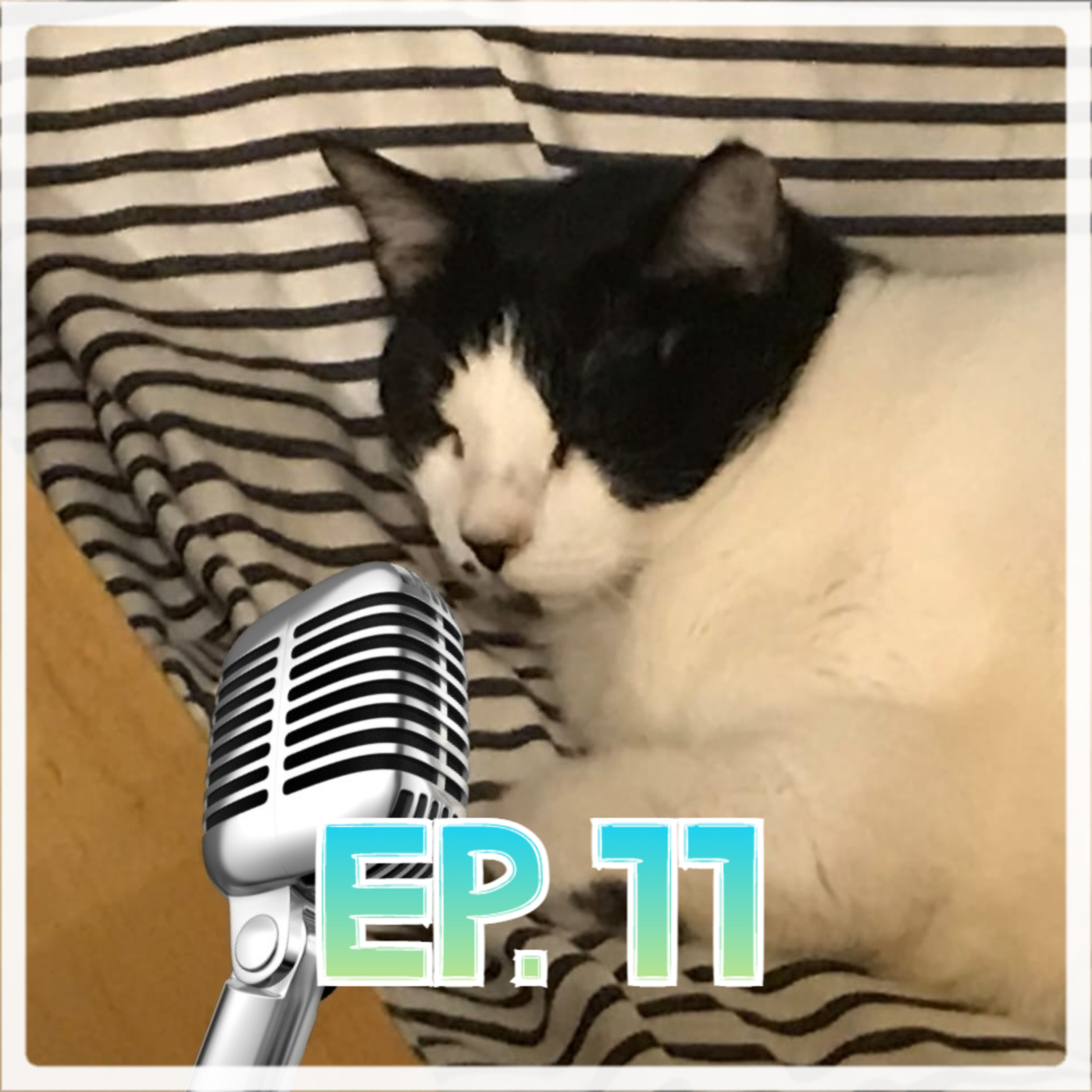 Babscast