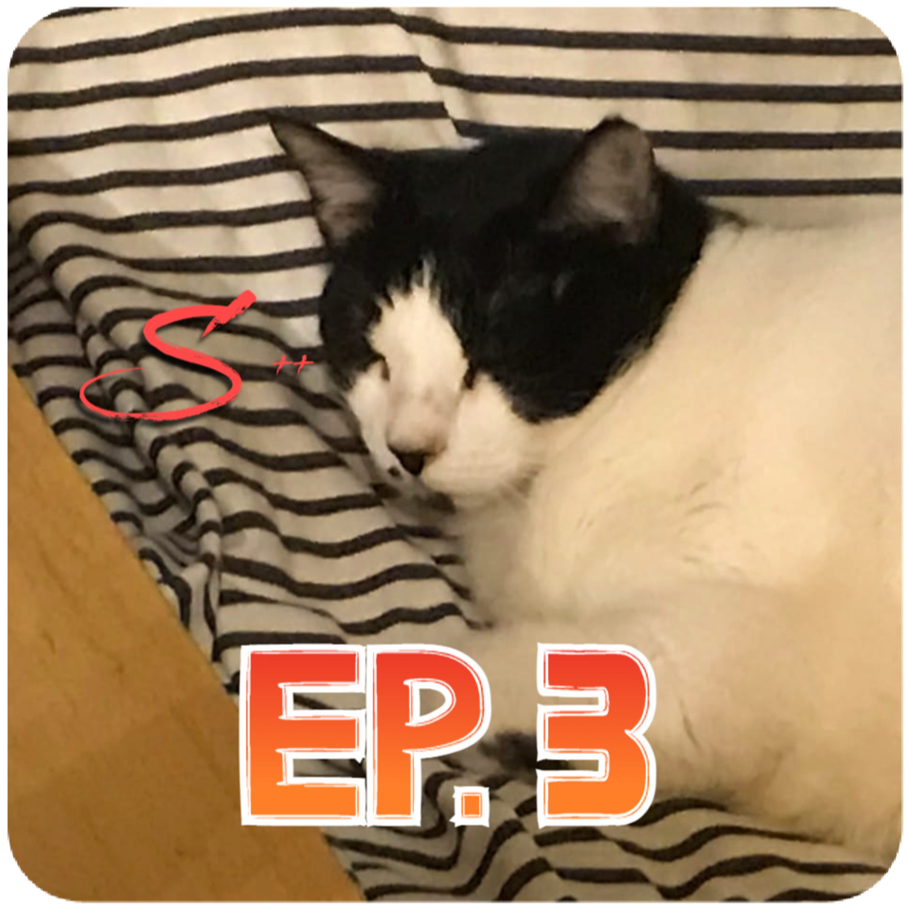 Babscast