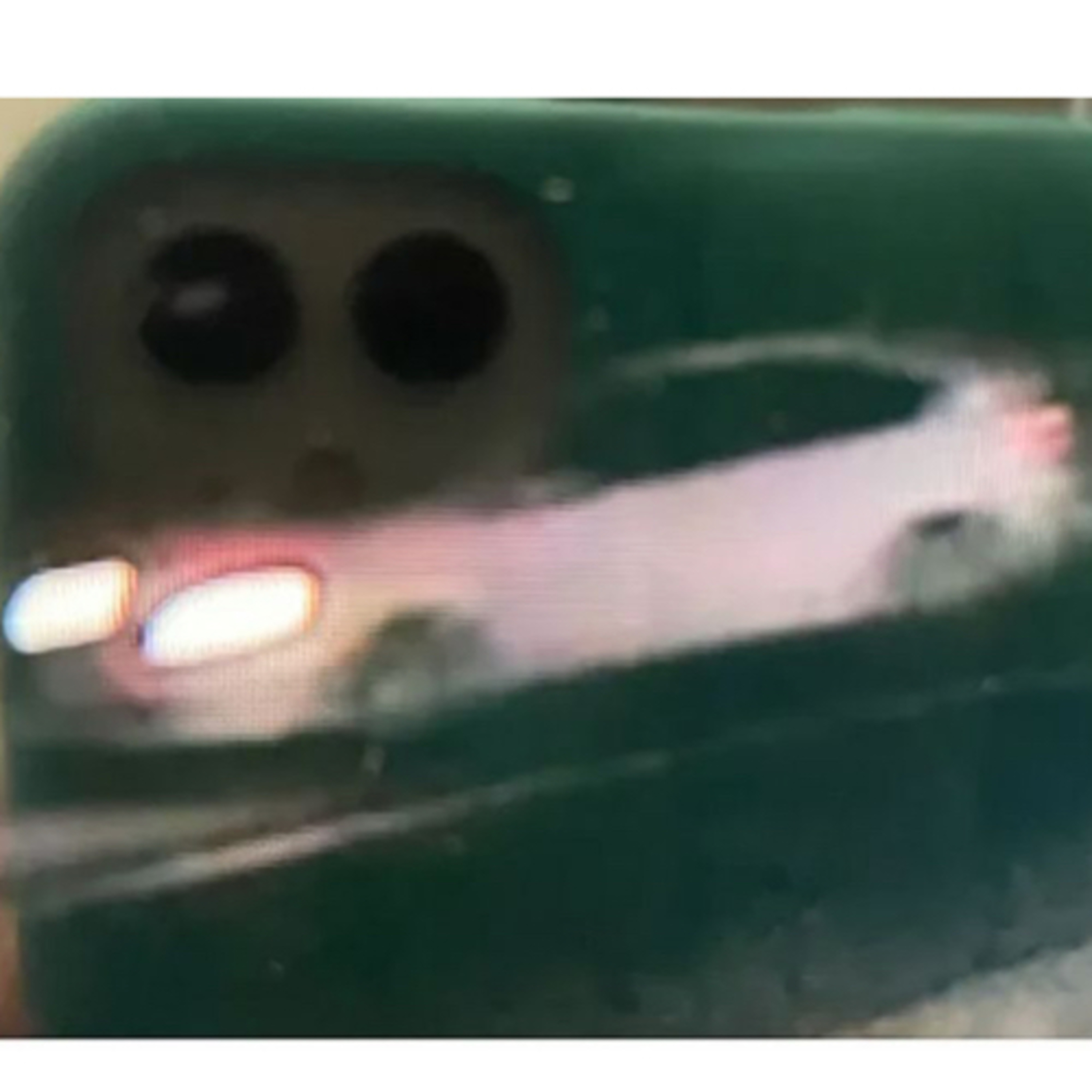 Moscow Murders 1 Month White Hyundai Elantra Kaylee Goncalves Attorney Raises Concerns & Questions  episode artwork